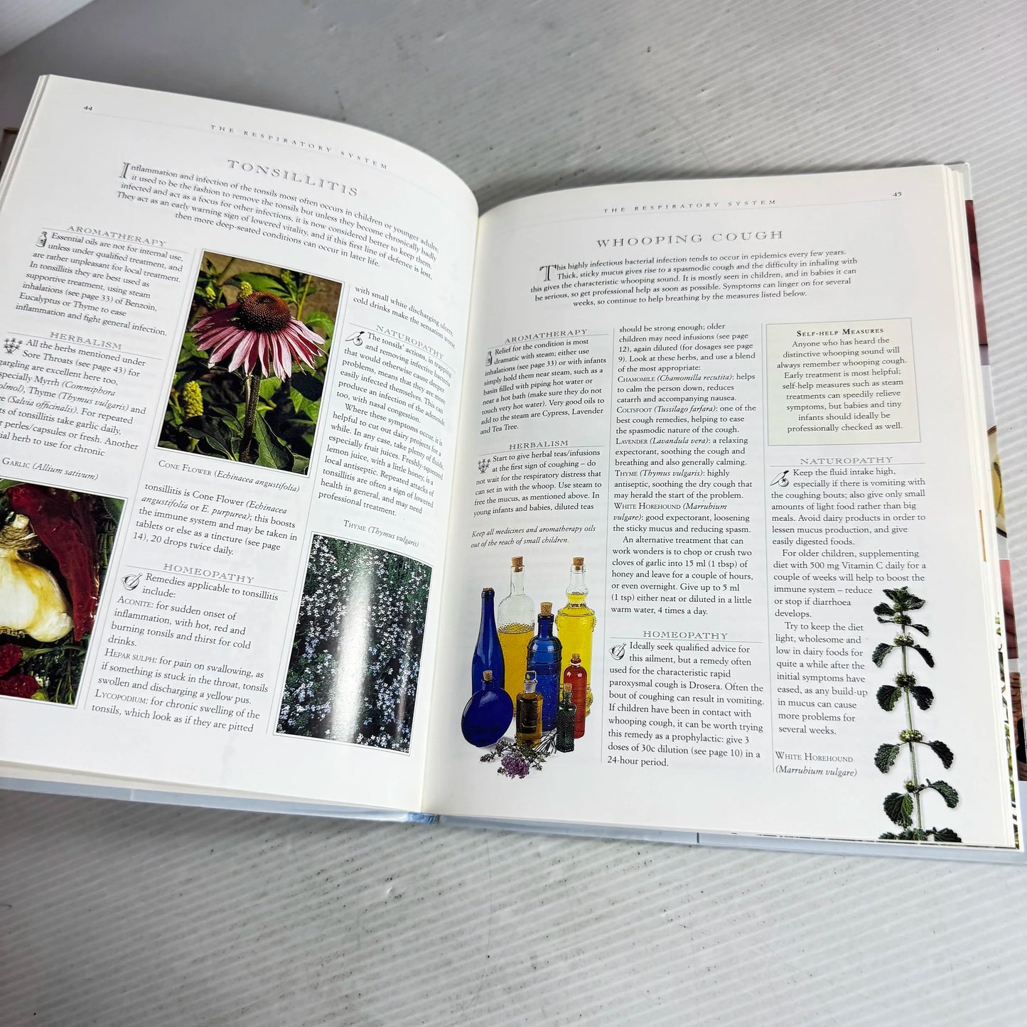 Natural Healing Handbook : A Guide to Nature's Remedies - Mark Evans, Bphil, FNIMH