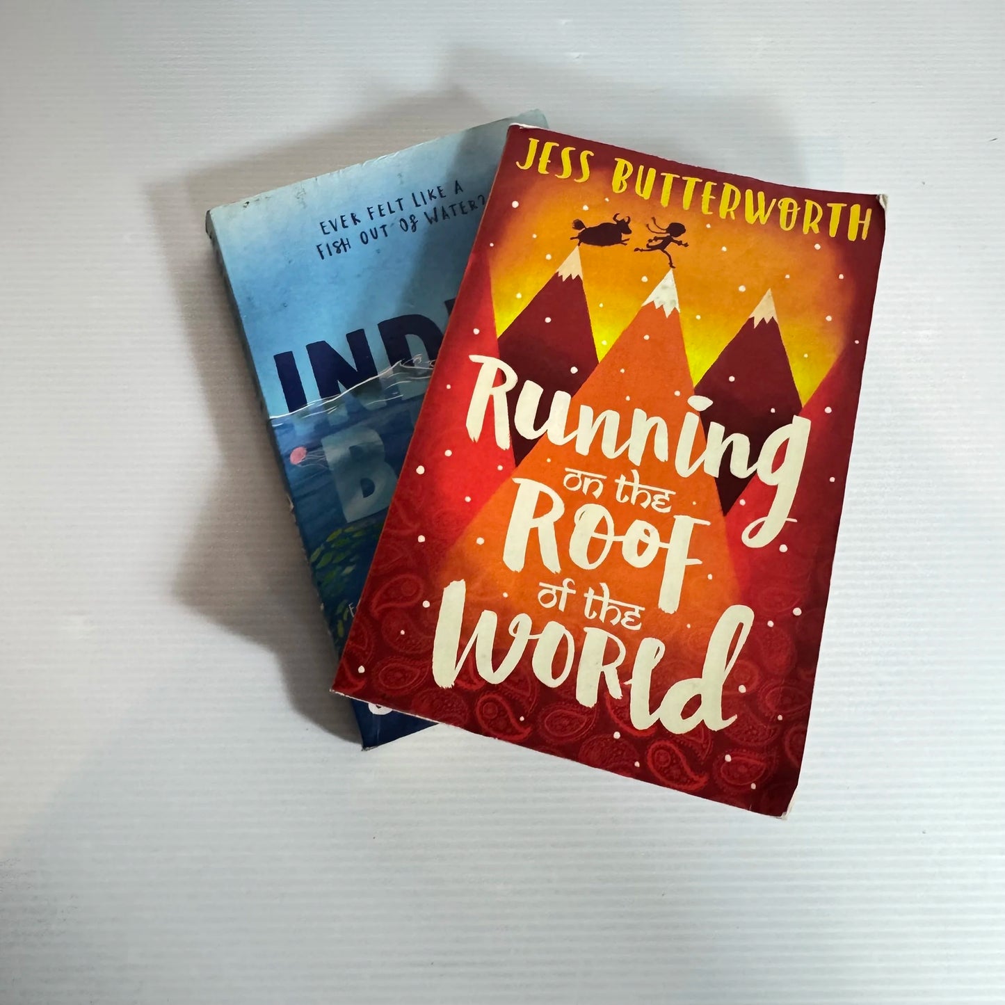 Children's Adventure Book Bundle x 2