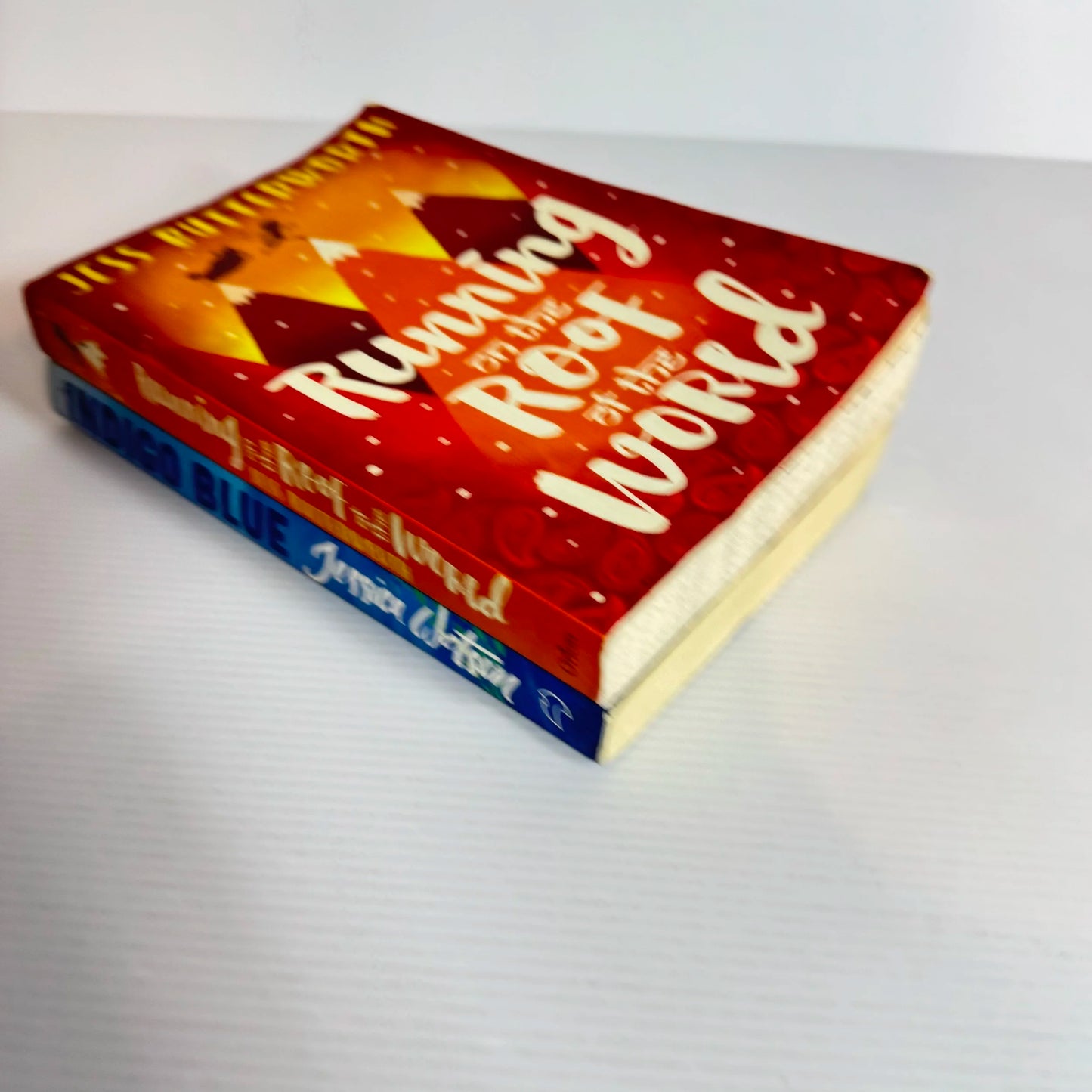 Children's Adventure Book Bundle x 2