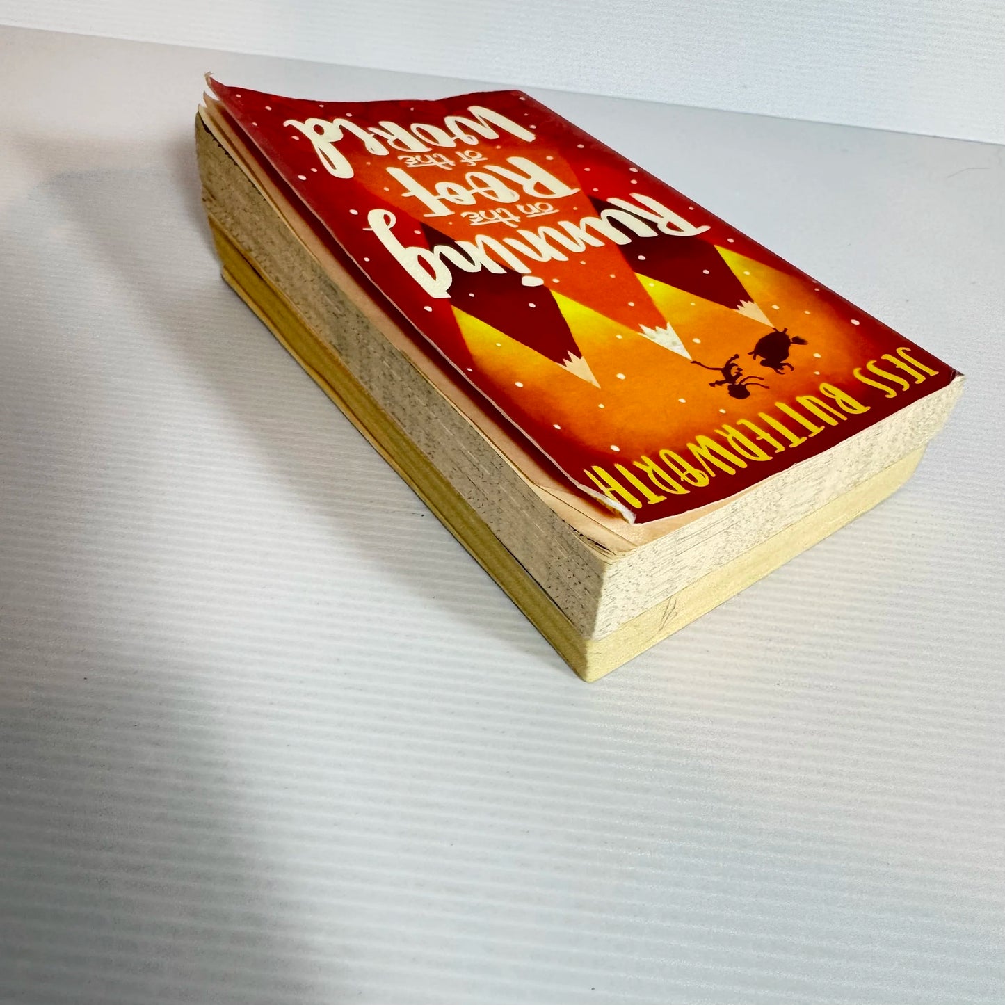 Children's Adventure Book Bundle x 2