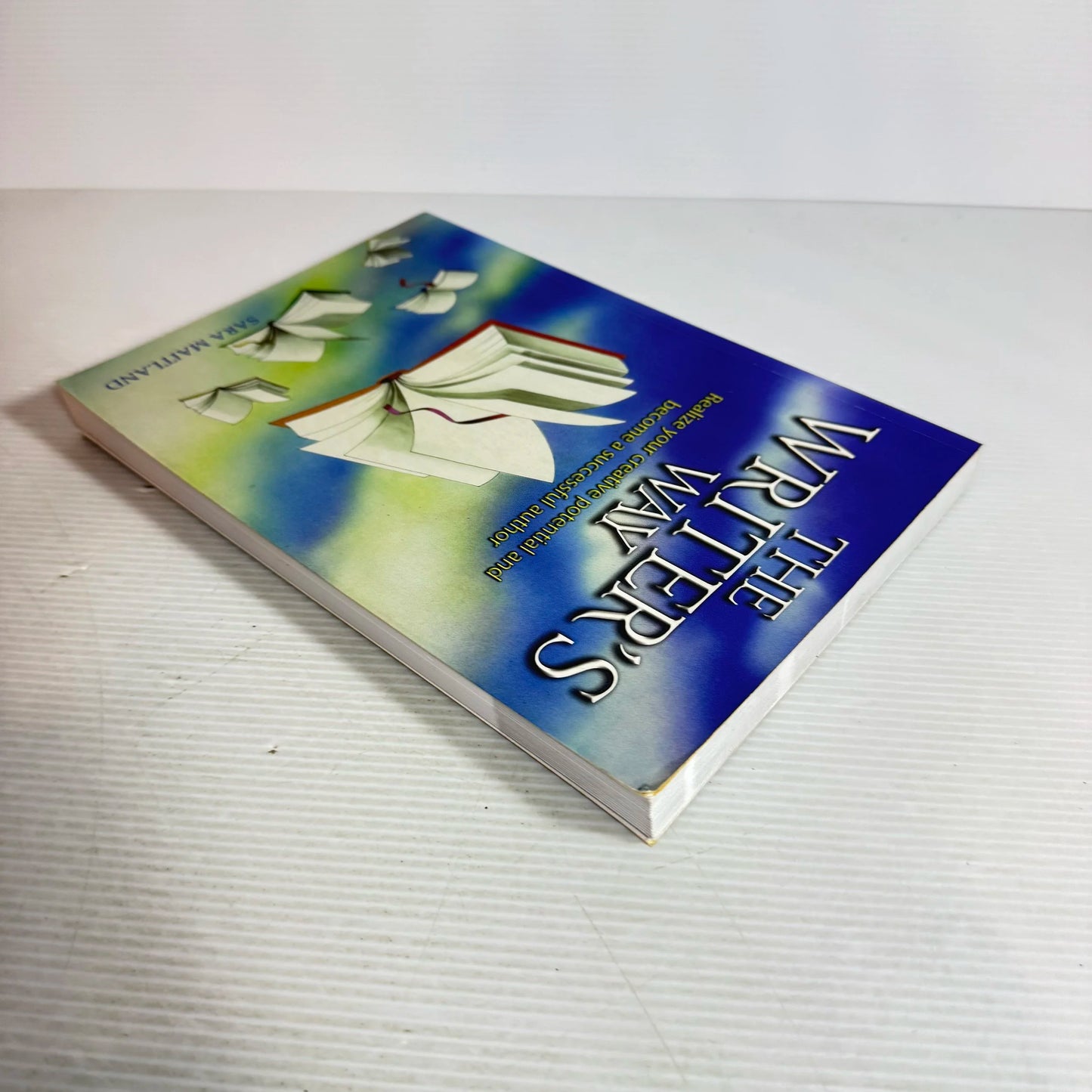 The Writer's Way: Realize Your Creative Potential And Become A Successful Author - Sara Maitland