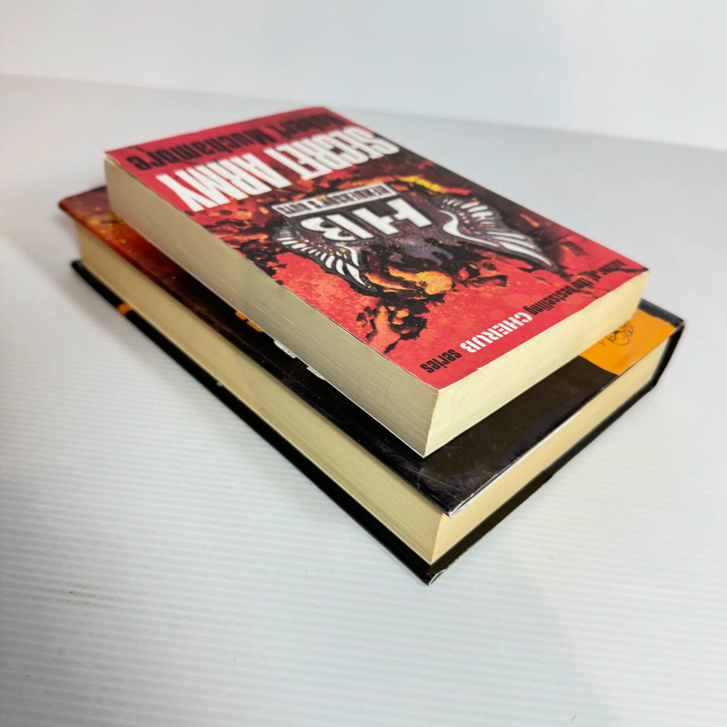 Robert Muchamore Book Bundle x 2 Secret Army & People's Republic