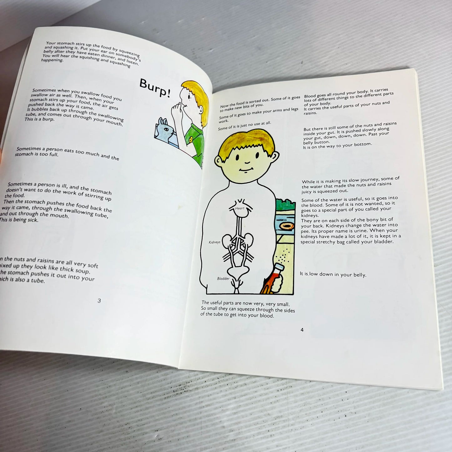 The Body Book - By Claire Rayner (Vintage 1978)