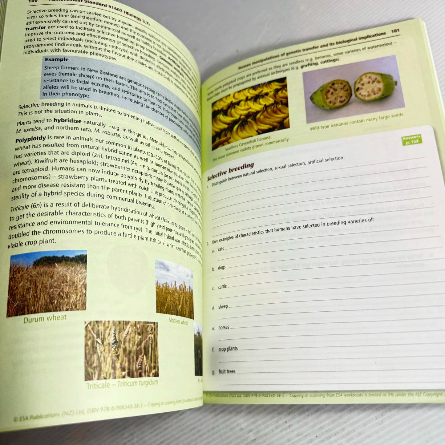 Learning Workbook Level 3 Biology Internals - Anna Roberts