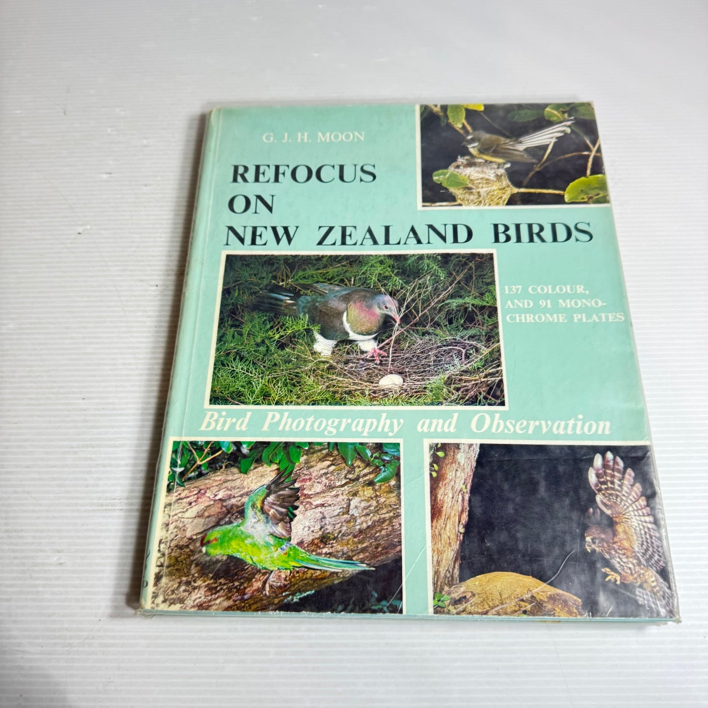 Refocus on New Zealand Birds : Bird Photography and Observation - G. J. H. Moon