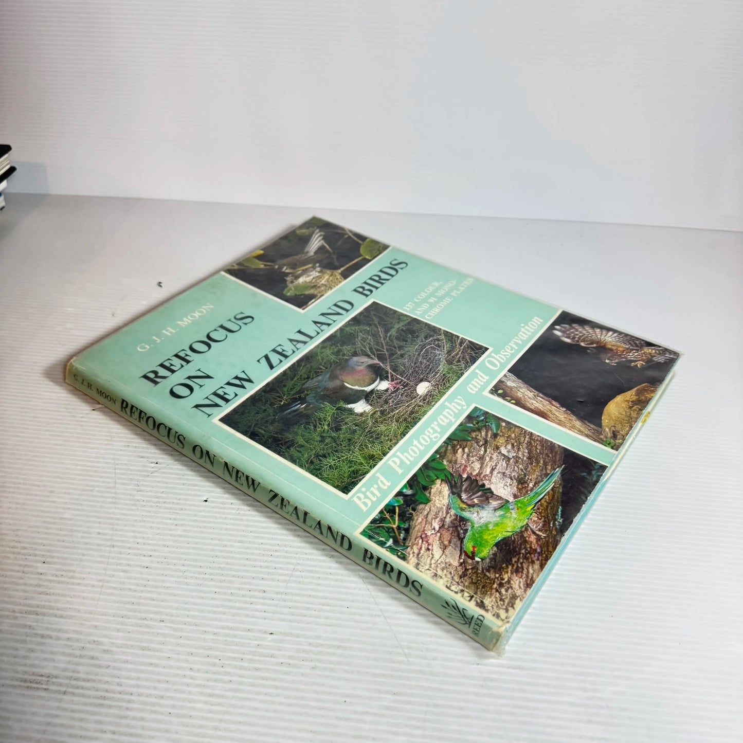 Refocus on New Zealand Birds : Bird Photography and Observation - G. J. H. Moon