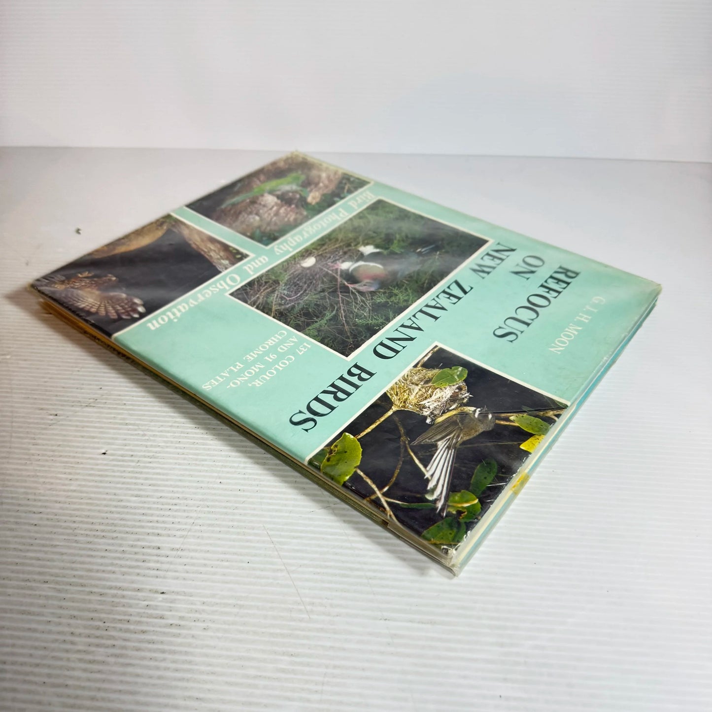 Refocus on New Zealand Birds : Bird Photography and Observation - G. J. H. Moon