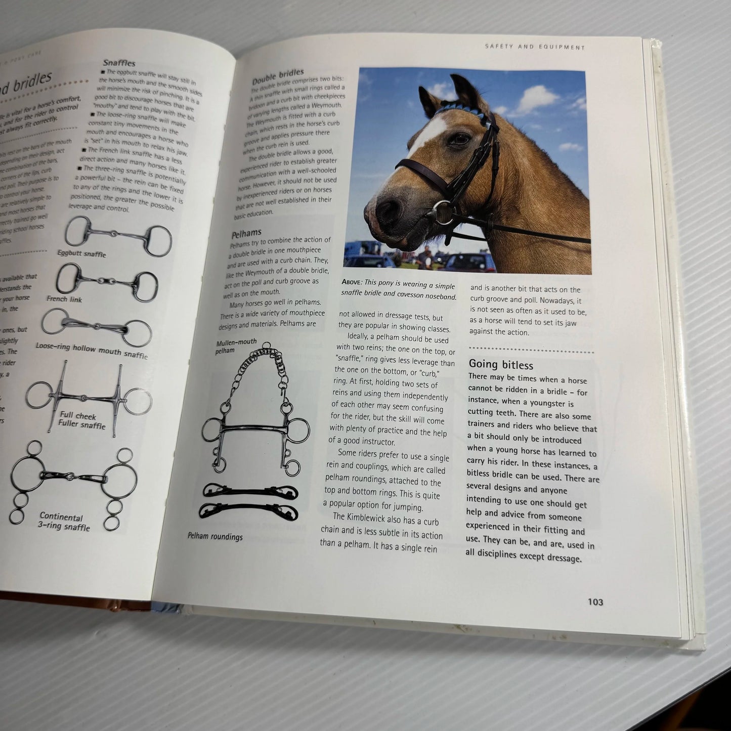 Complete Horse & Pony Care - The British Horse Society