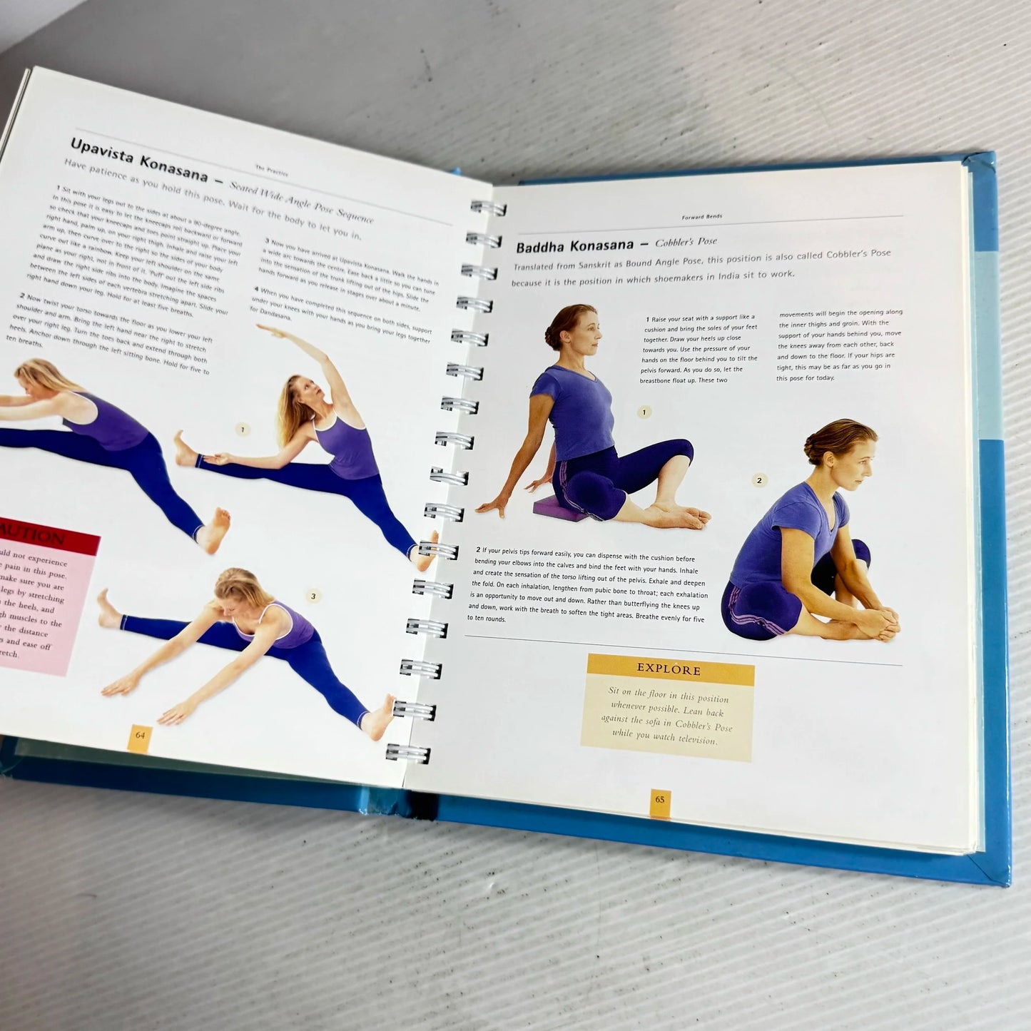 The Book of Yoga : Bringing the body, mind and spirit into balance and harmony - Christina Brown