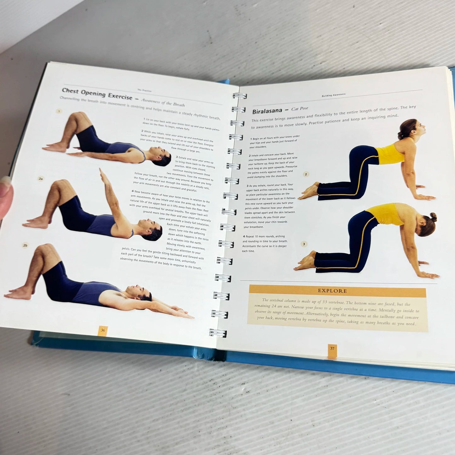 The Book of Yoga : Bringing the body, mind and spirit into balance and harmony - Christina Brown