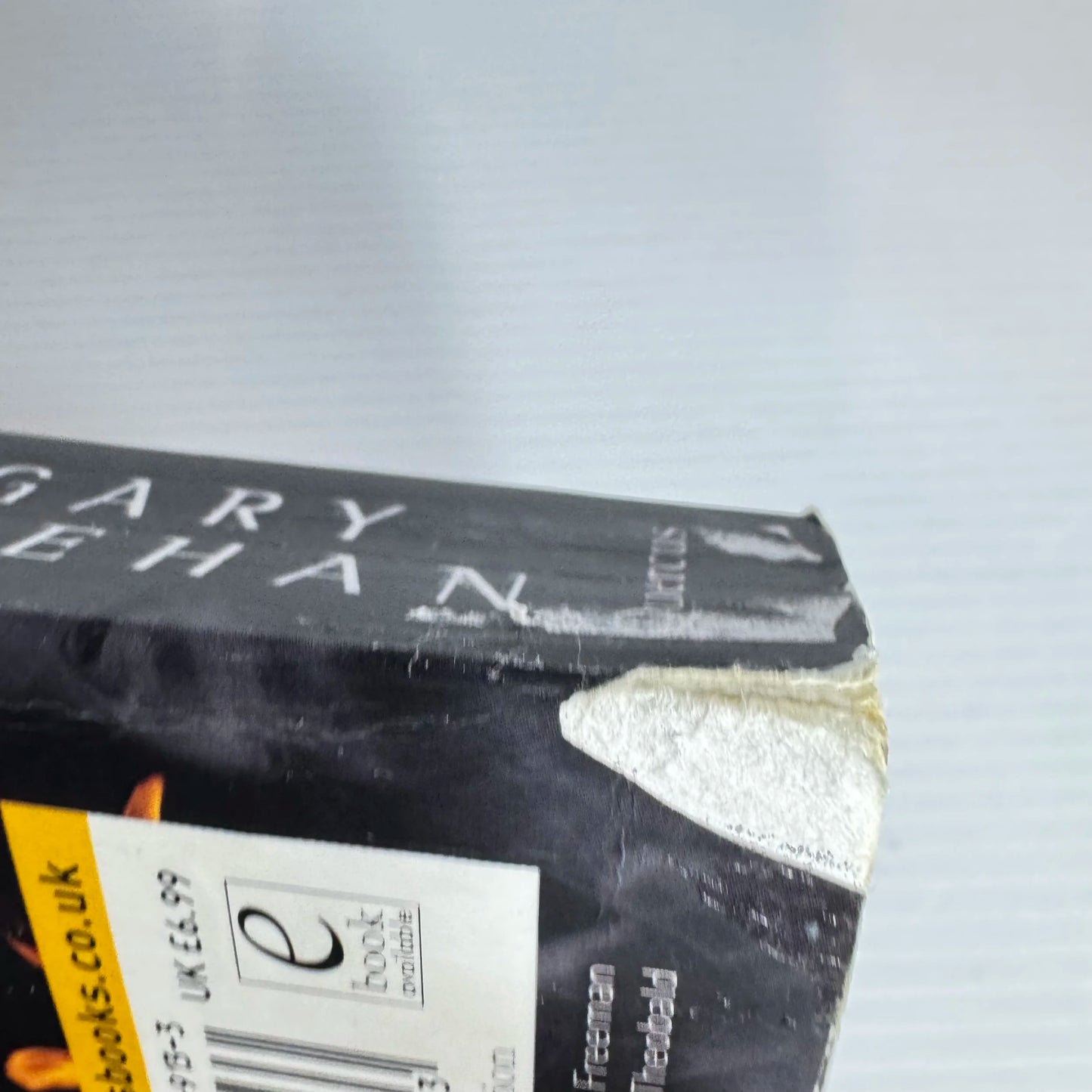 True Fire - Gary Meehan