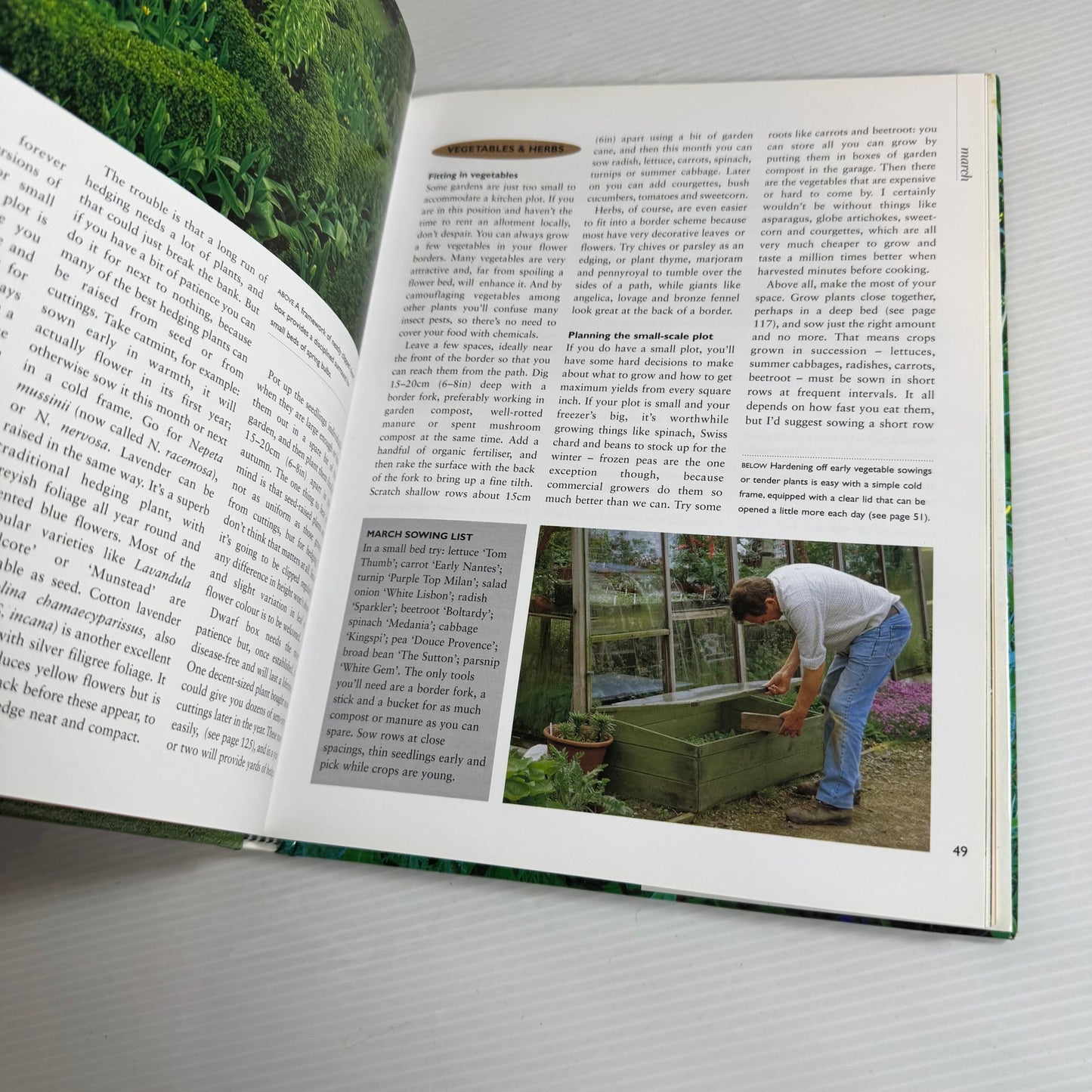 Year In Your Garden : A Month-by-Month Celebration of a Gardening Genius - Geoff Hamilton