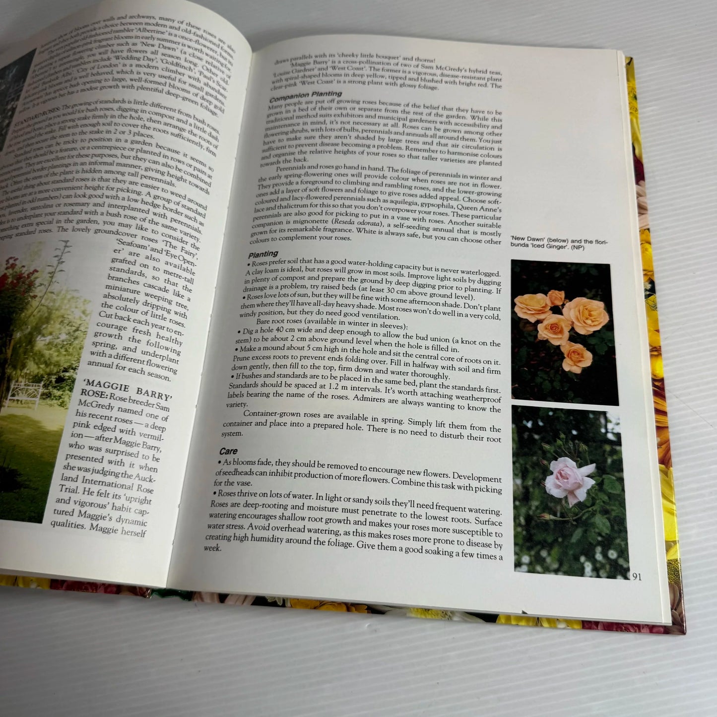 Guide to Gardening in New Zealand - Palmers Garden Show (Vintage 1994)