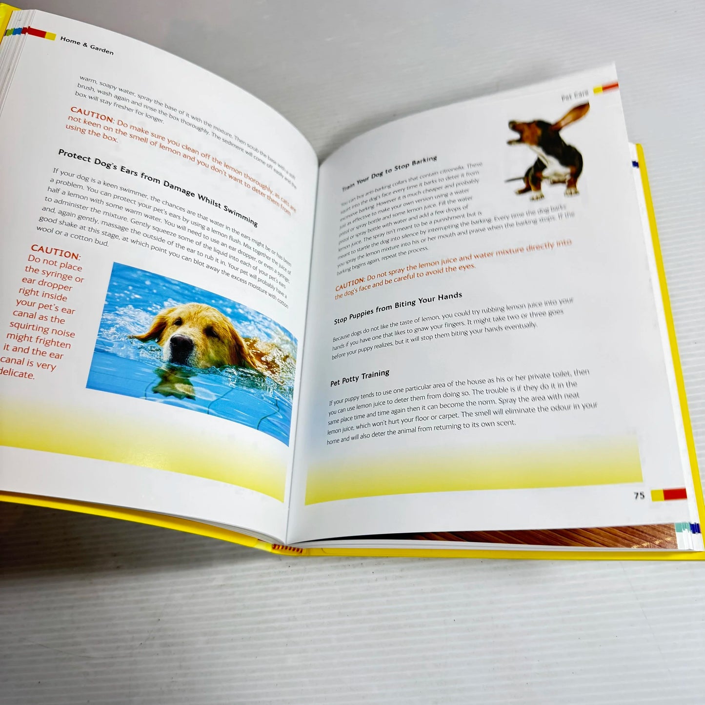 Lemons: Hundreds Of Household Hints - Diane & Jon Sutherland