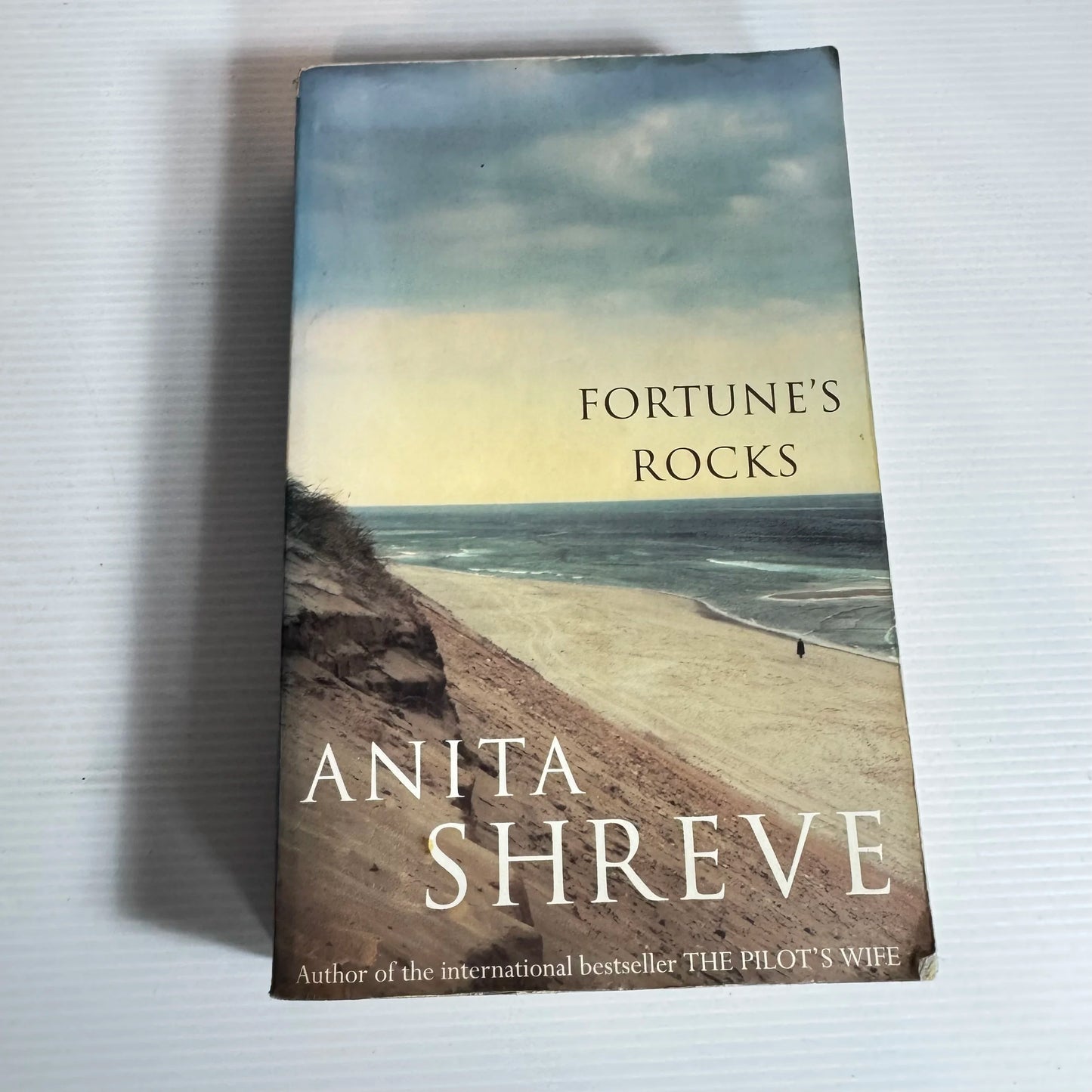 Fortune's Rocks - Anita Shreve