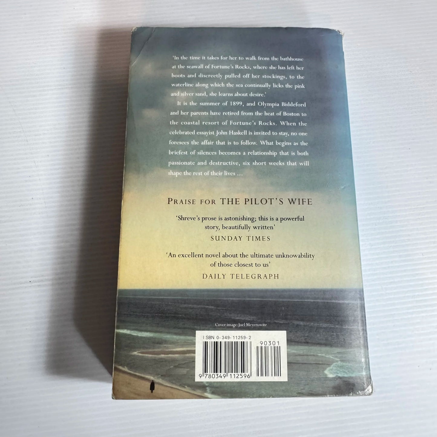 Fortune's Rocks - Anita Shreve