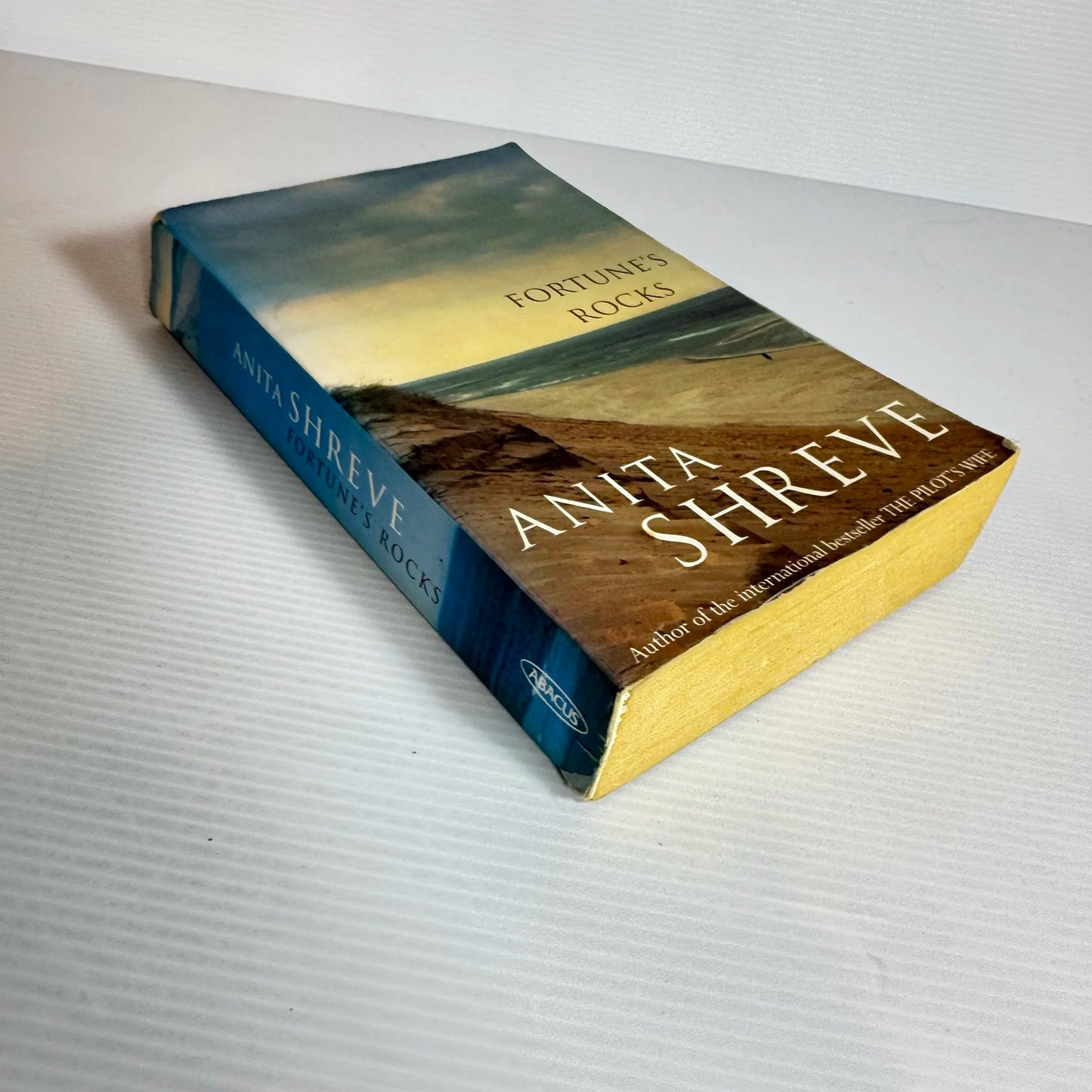 Fortune's Rocks - Anita Shreve
