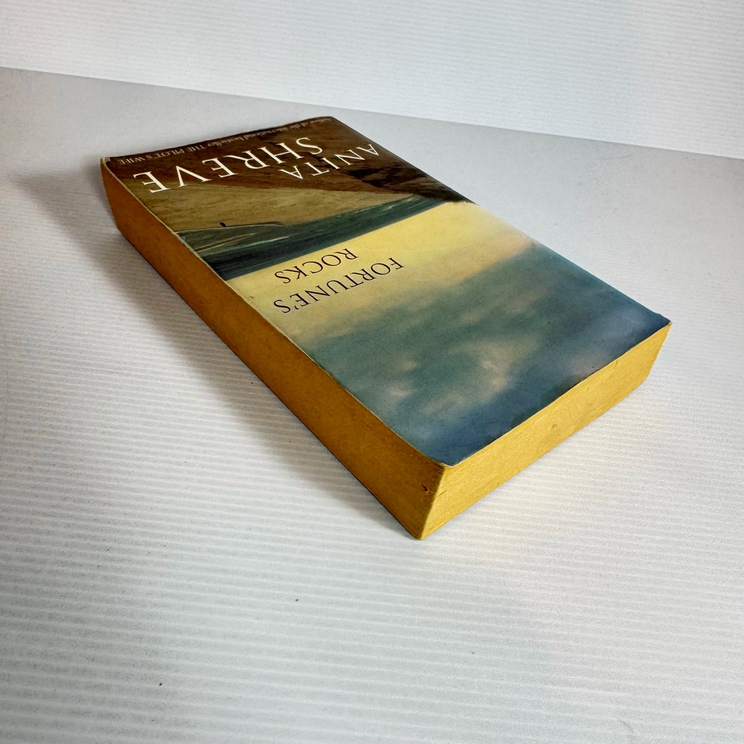 Fortune's Rocks - Anita Shreve