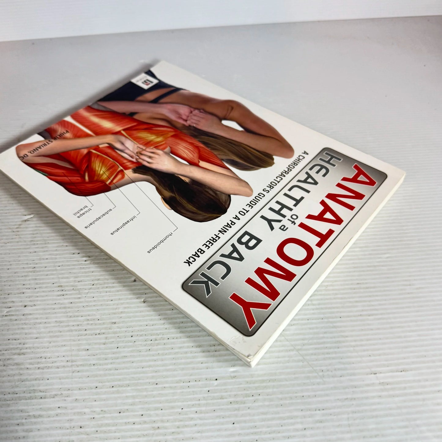Anatomy Of A Healthy Back: A Chiropractor's Guide To A Pain-Free Back - Philip Striano, DC