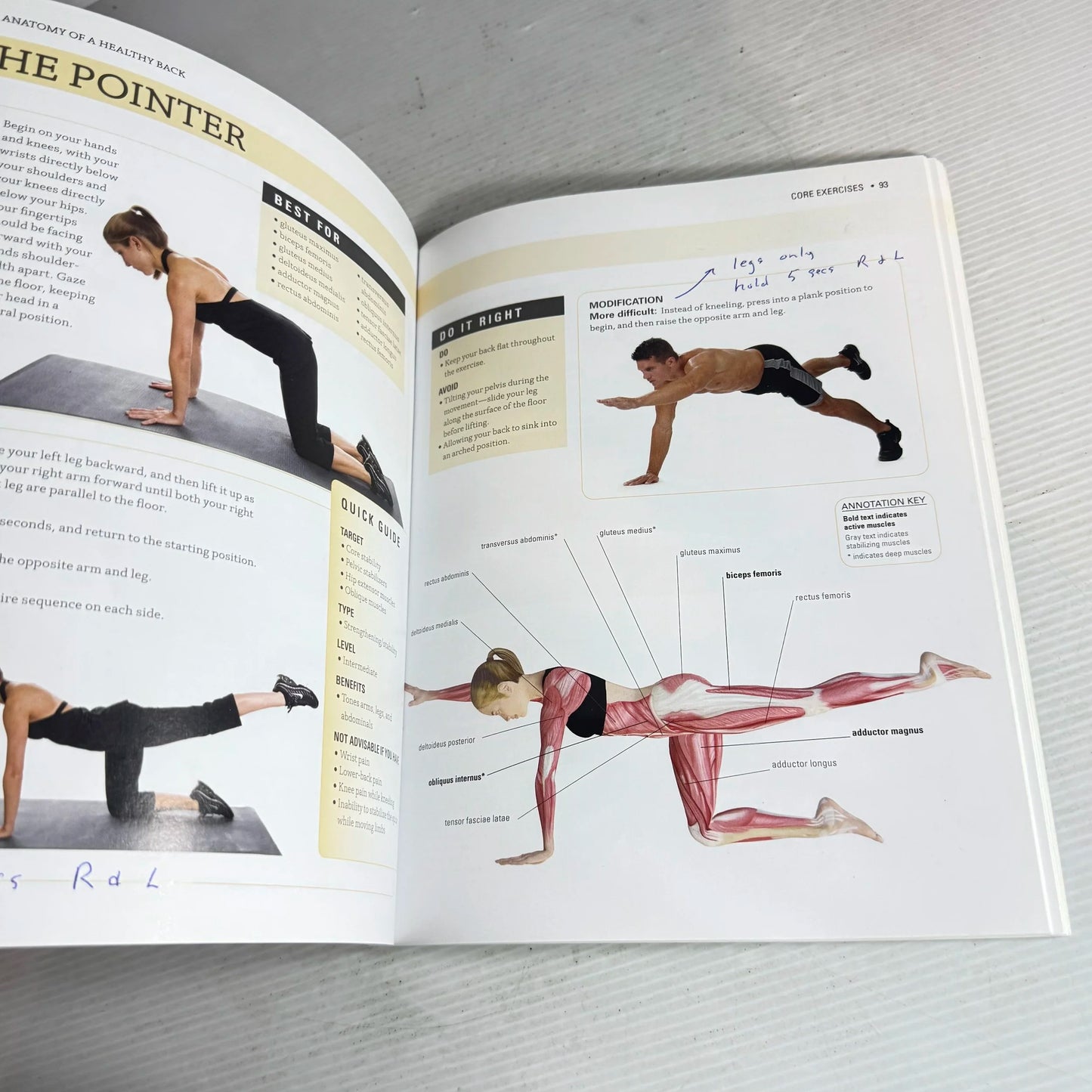 Anatomy Of A Healthy Back: A Chiropractor's Guide To A Pain-Free Back - Philip Striano, DC