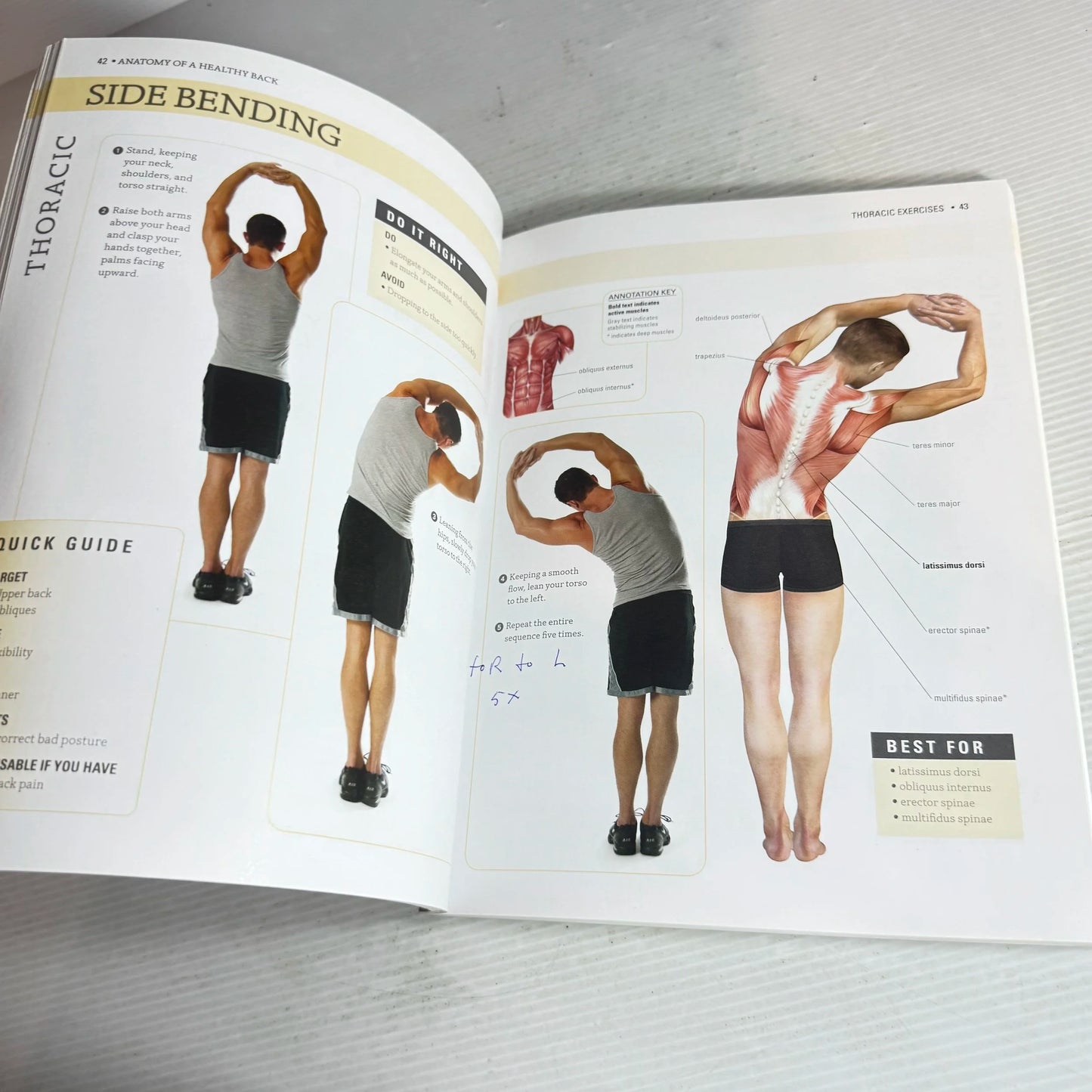Anatomy Of A Healthy Back: A Chiropractor's Guide To A Pain-Free Back - Philip Striano, DC