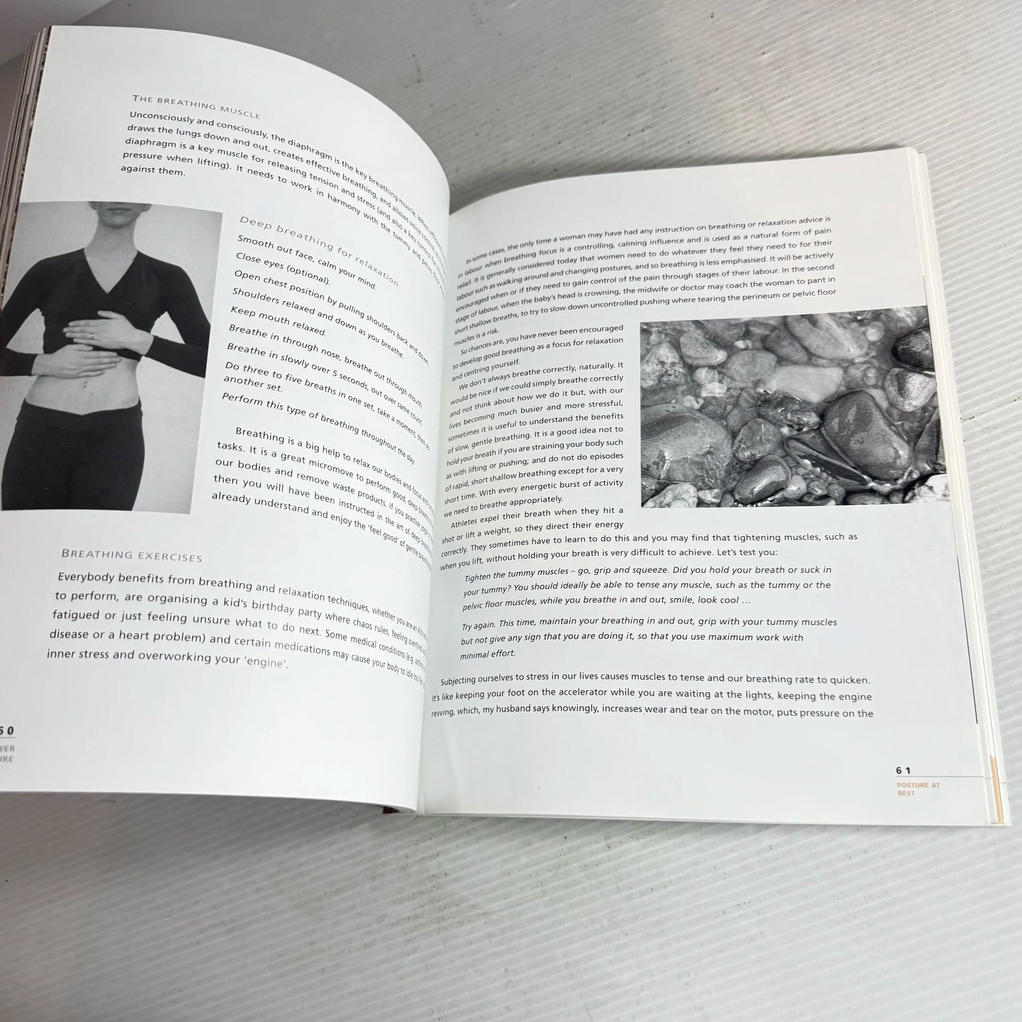 The Power Of Posture: Making Posture For Women Sexy, Stylish And Fun - Carol Armitage - Signed by Author