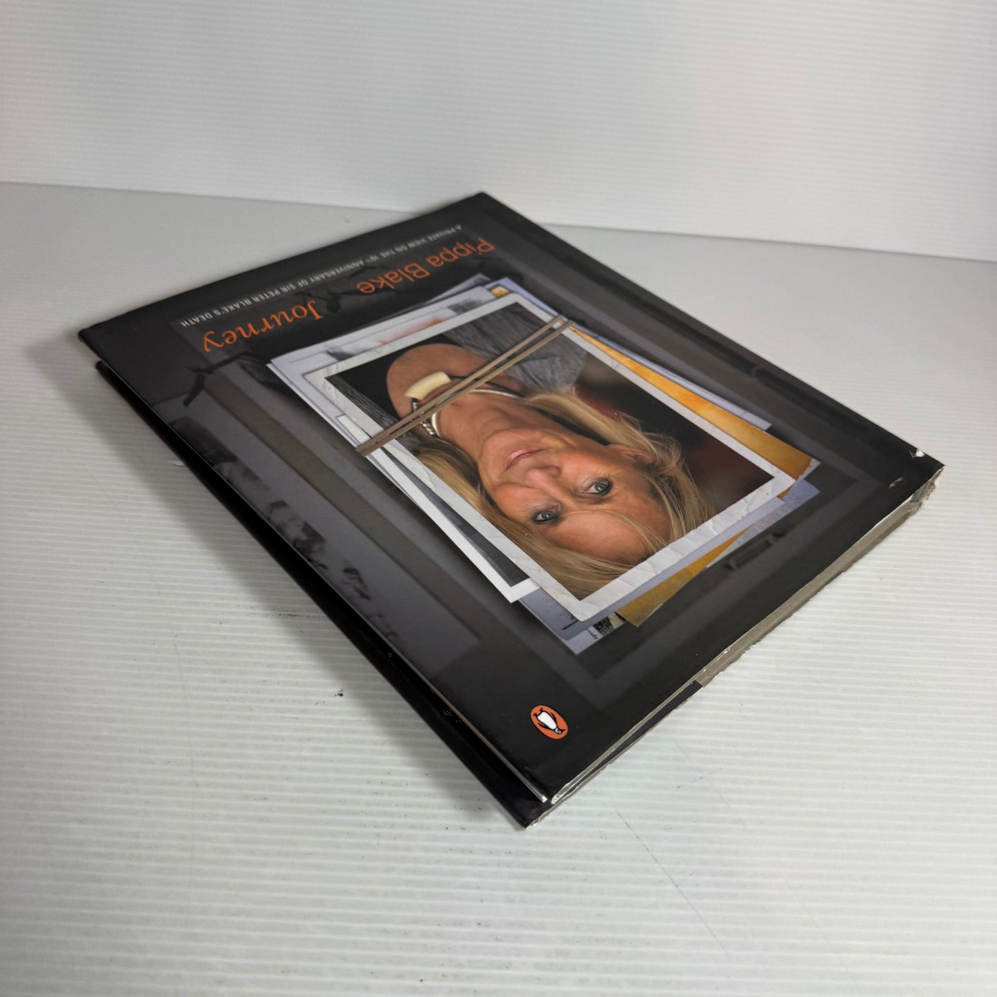 Journey : A Private View on the 10th Anniversary of Sir Peter Blake's Death - Pippa Blake
