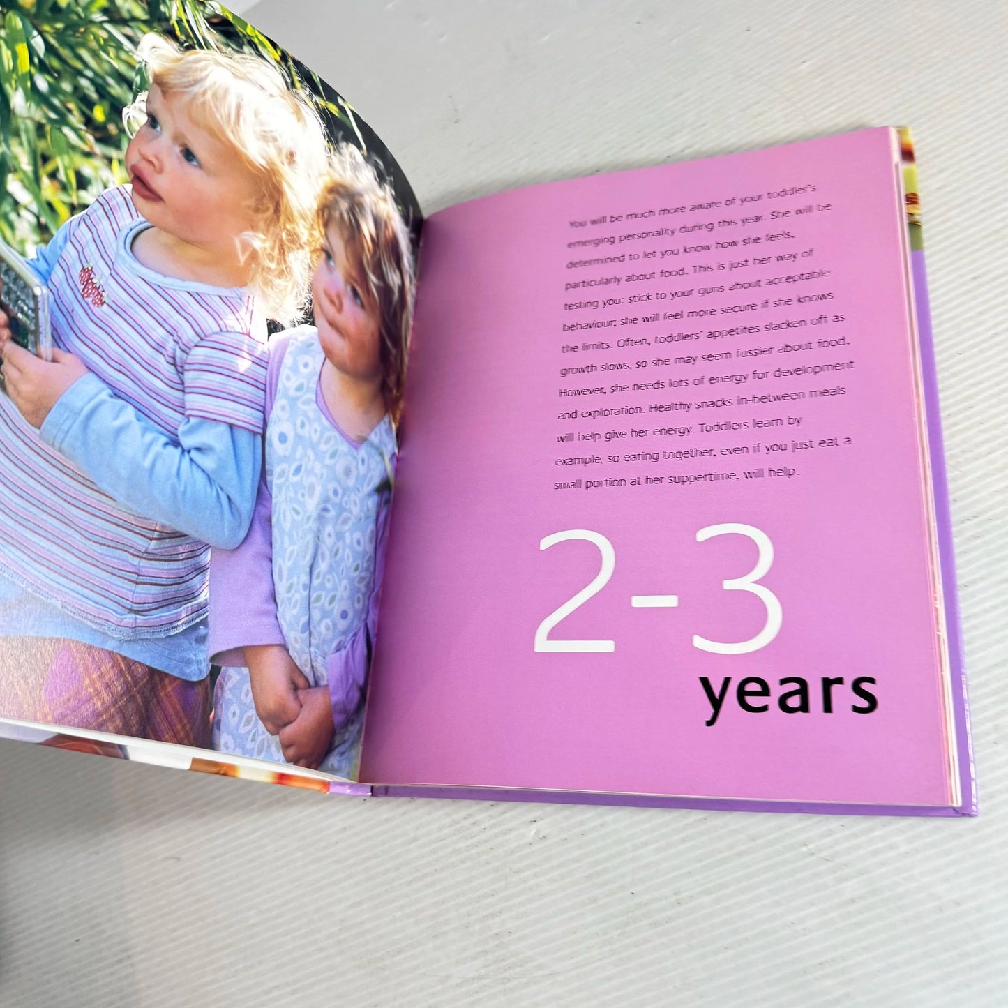 The Toddler Healthy Eating Planner - Amanda Grant