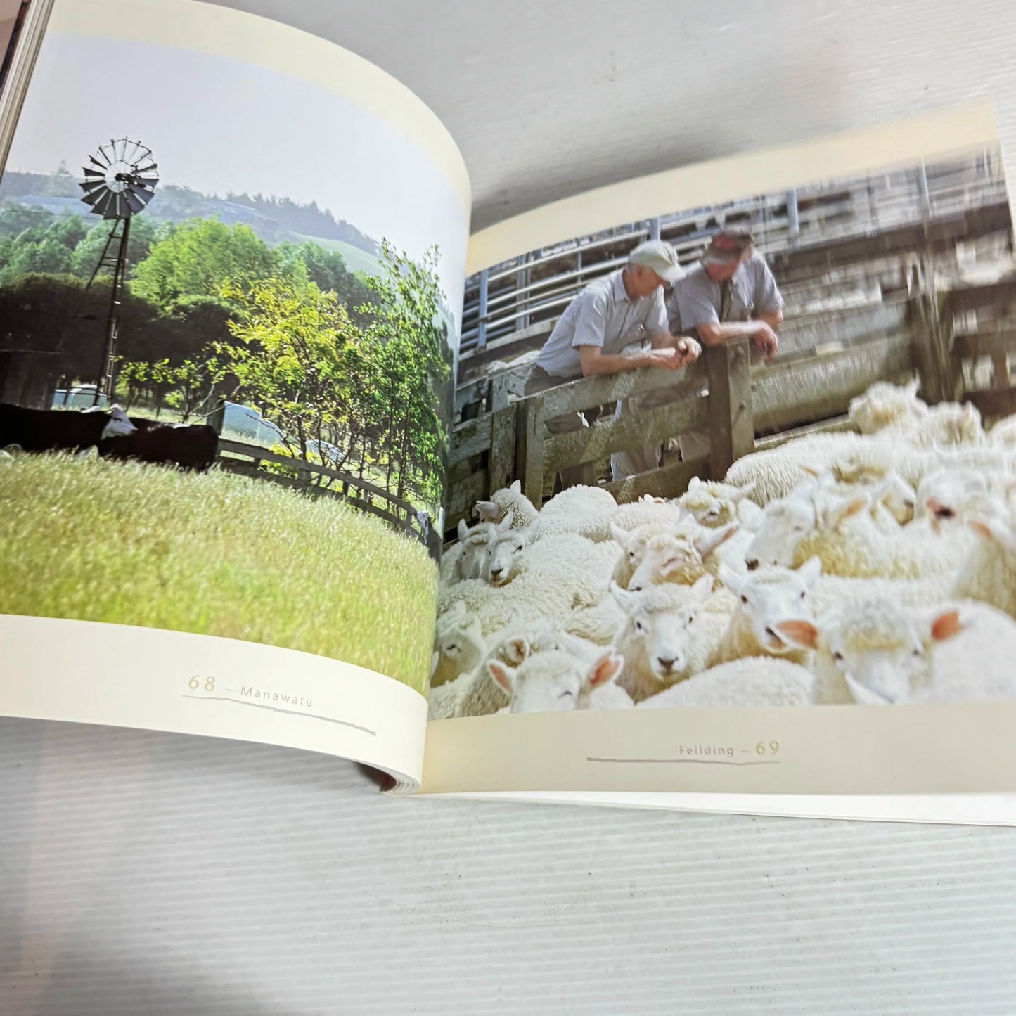 Market Day : A Taste of Life at New Zealand Farmers' Markets - Vicki Winn