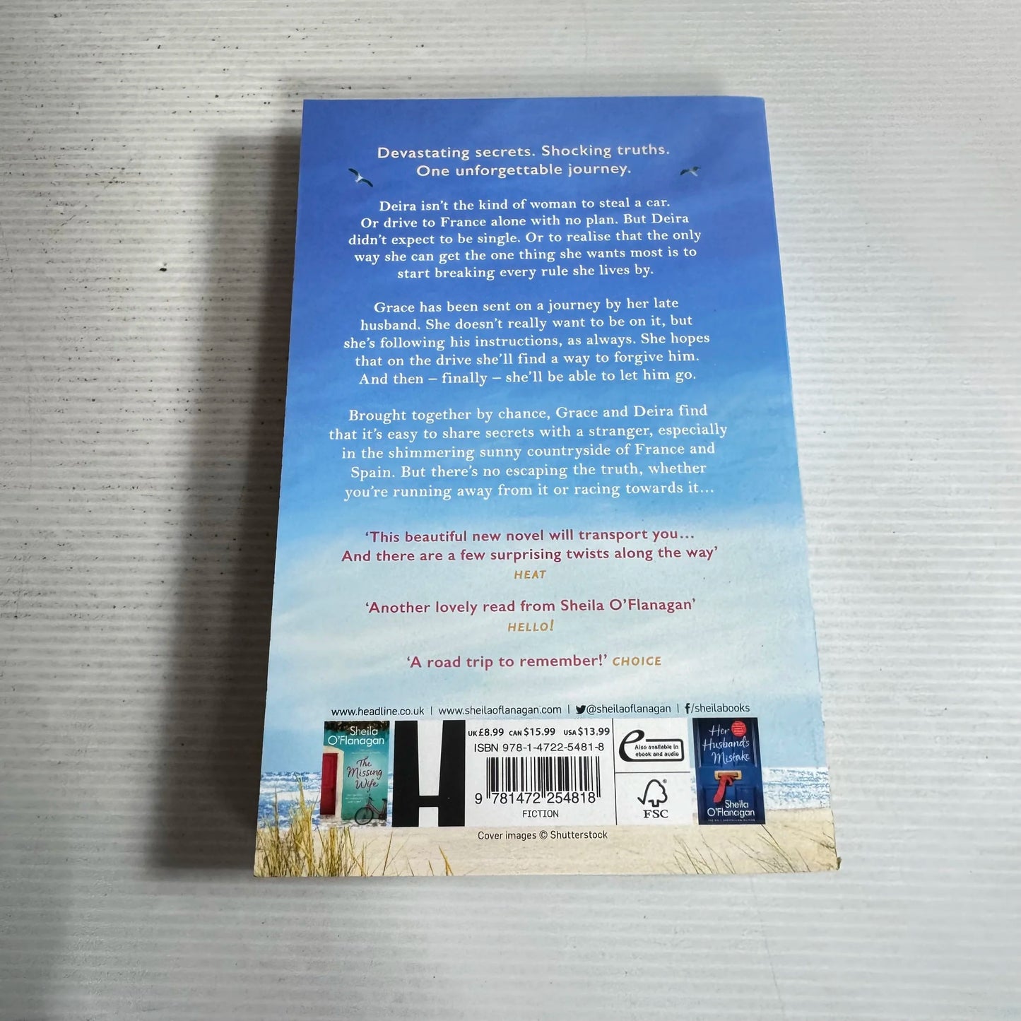 The Women Who Ran Away - Sheila O'Flanagan