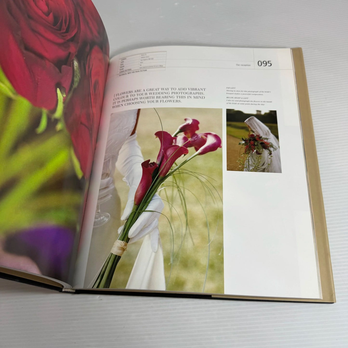 Capture The Moment : A Bride's and Photographer's Guide to Contemporary Weddings - Stephen Swan