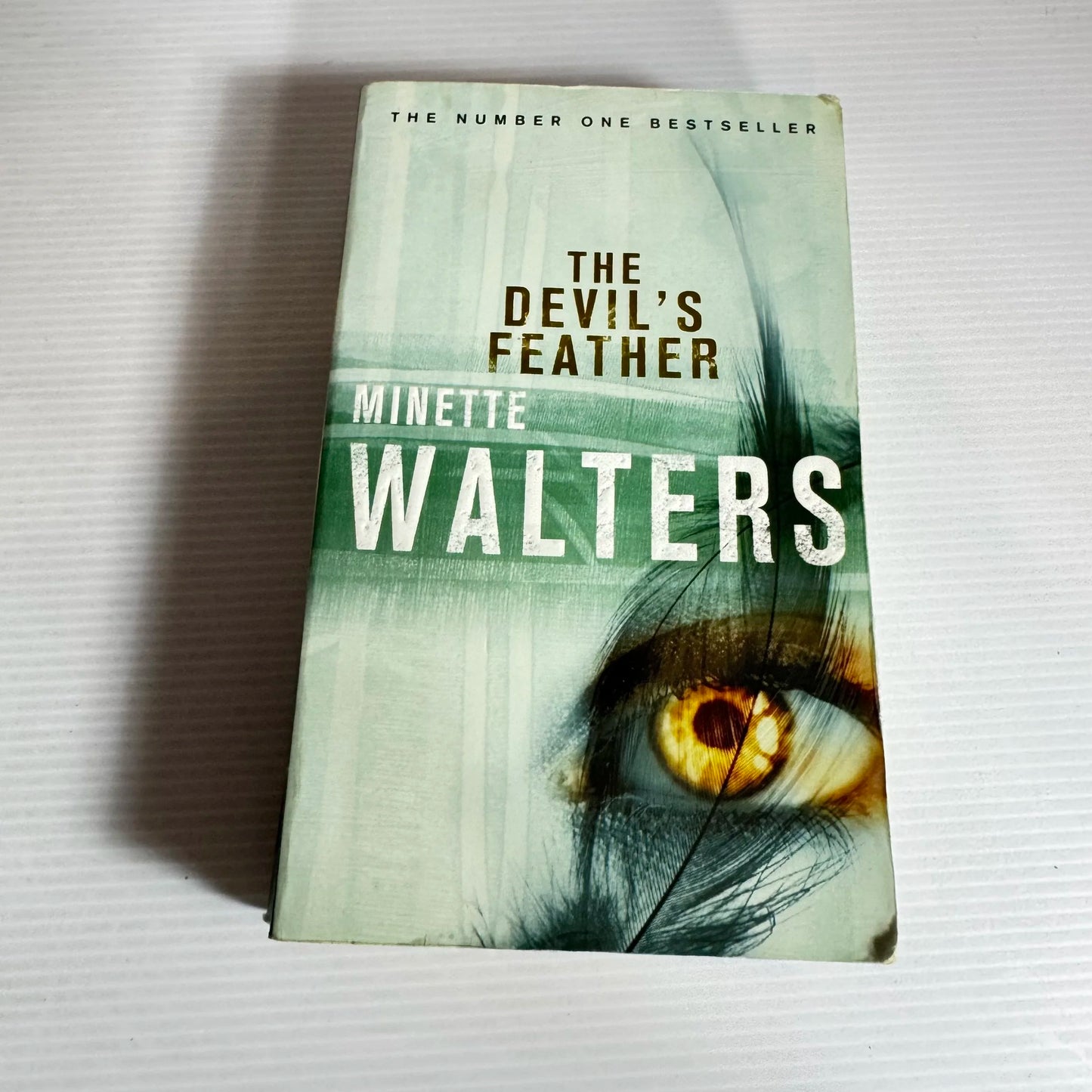The Devil's Feather - Minette Walters