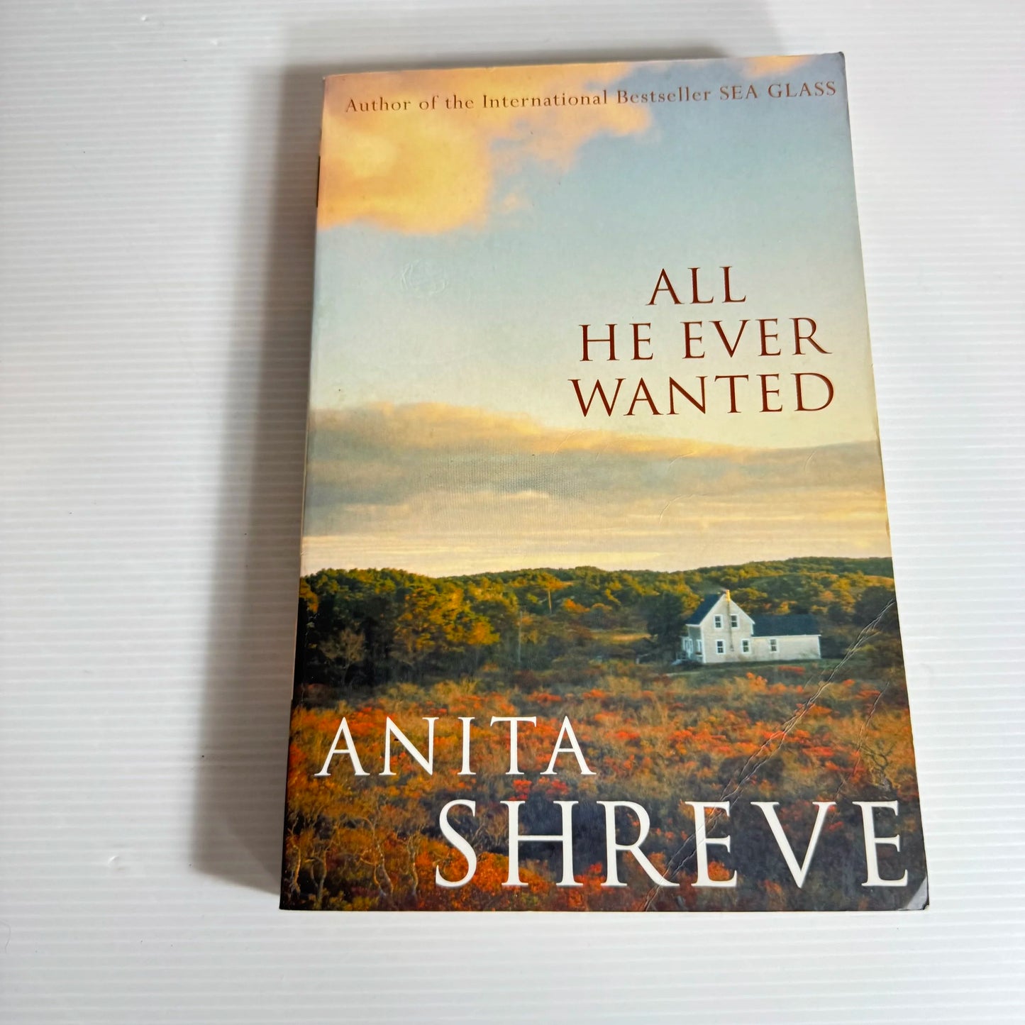 All He Ever Wanted - Anita Shreve