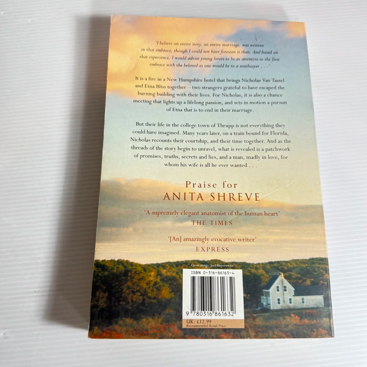 All He Ever Wanted - Anita Shreve