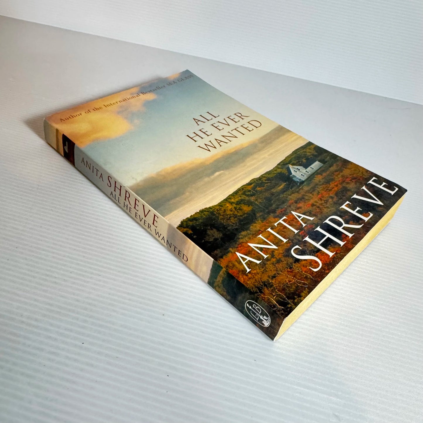 All He Ever Wanted - Anita Shreve