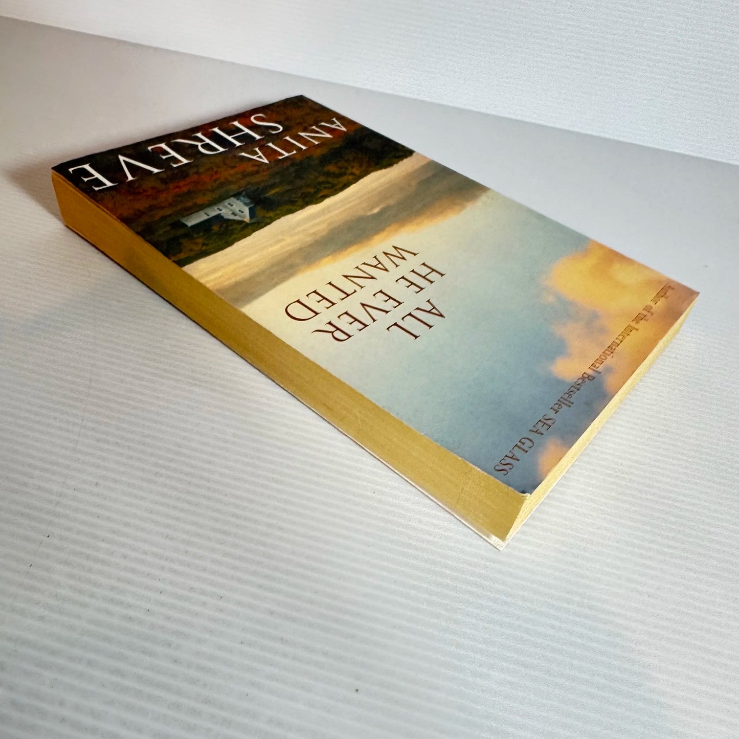 All He Ever Wanted - Anita Shreve