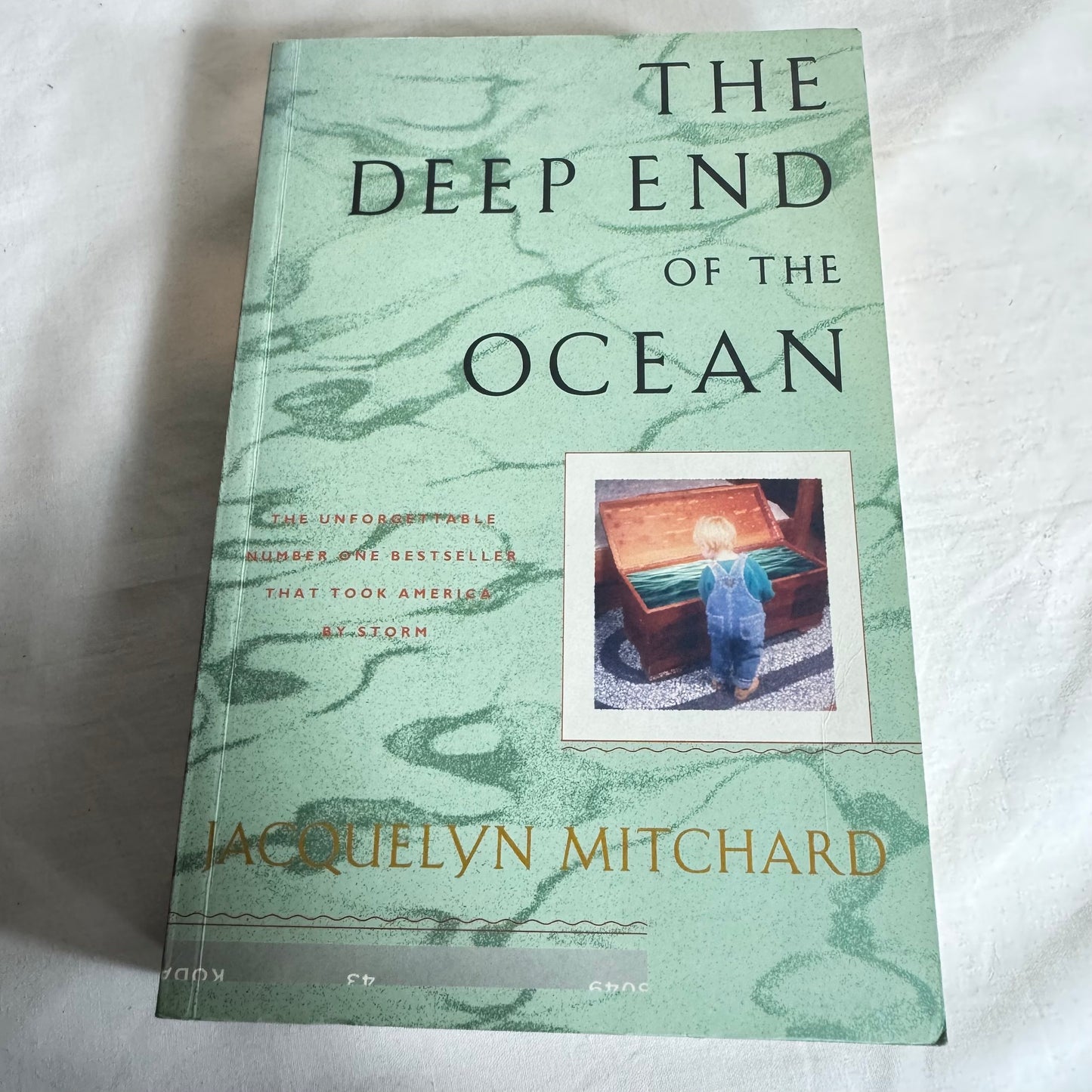 The Deep End of the Ocean - Jacquelyn Mitchard