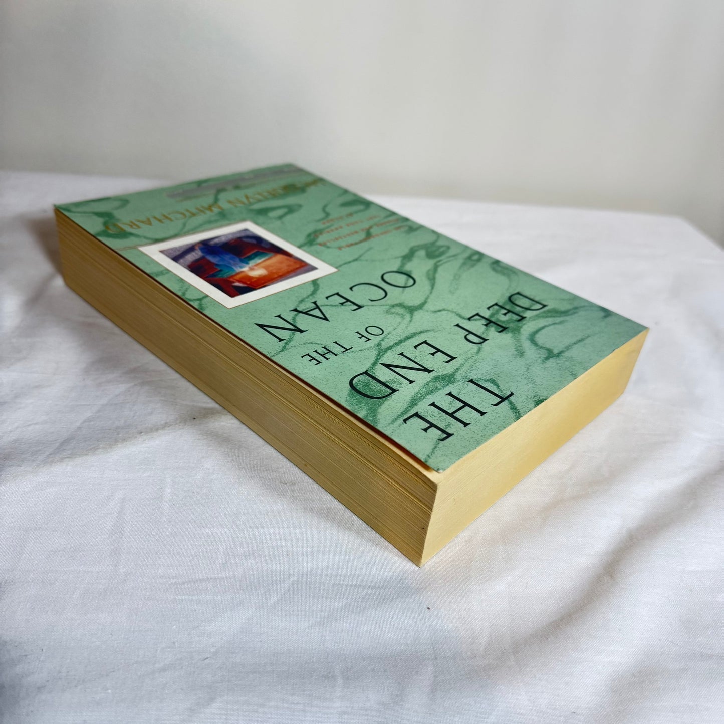 The Deep End of the Ocean - Jacquelyn Mitchard