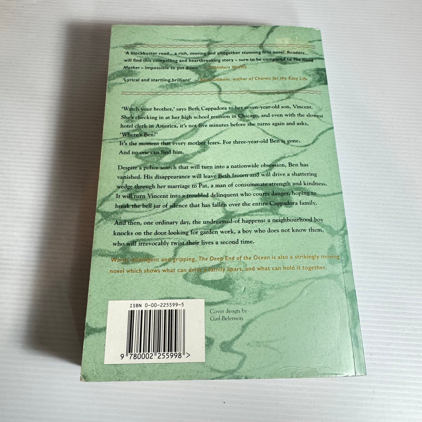 The Deep End of the Ocean - Jacquely Mitchard