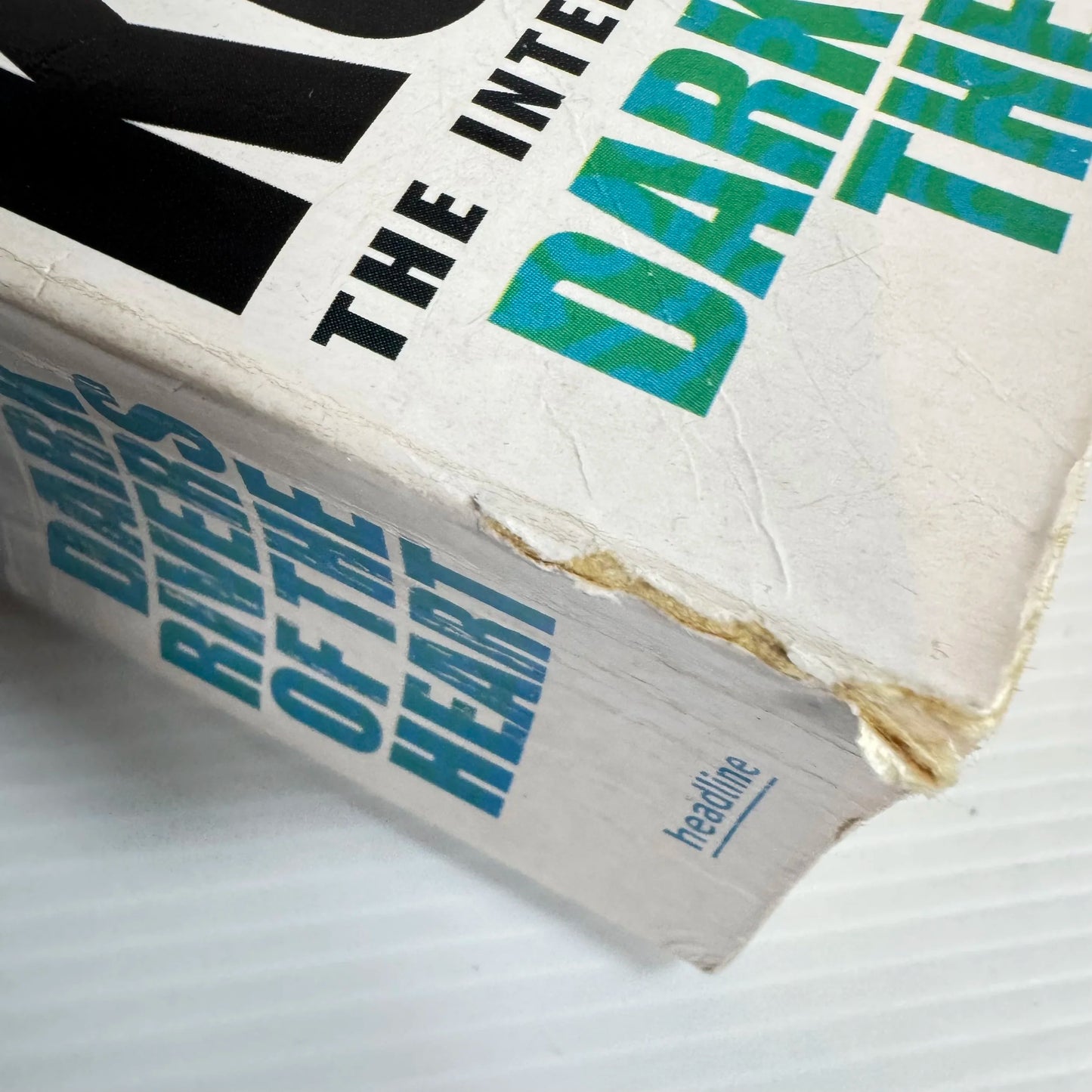 Dark Rivers of The Heart - Dean Koontz