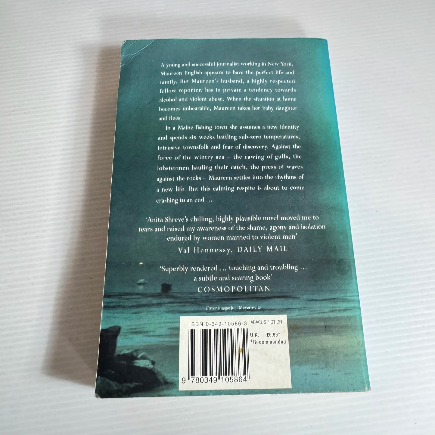 Strange Fits of Passion - Anita Shreve (1991)