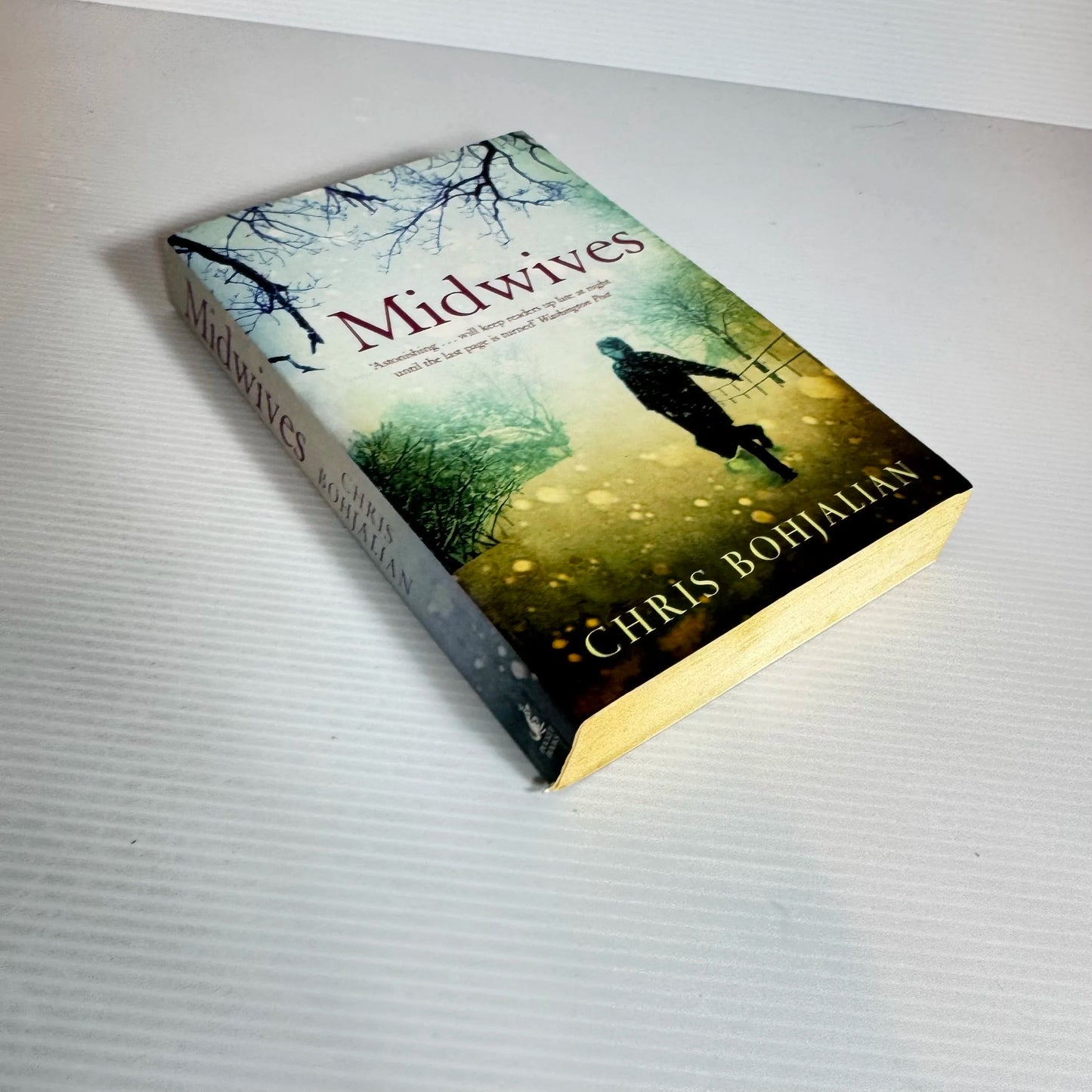 Midwives - Chris Bohjalian