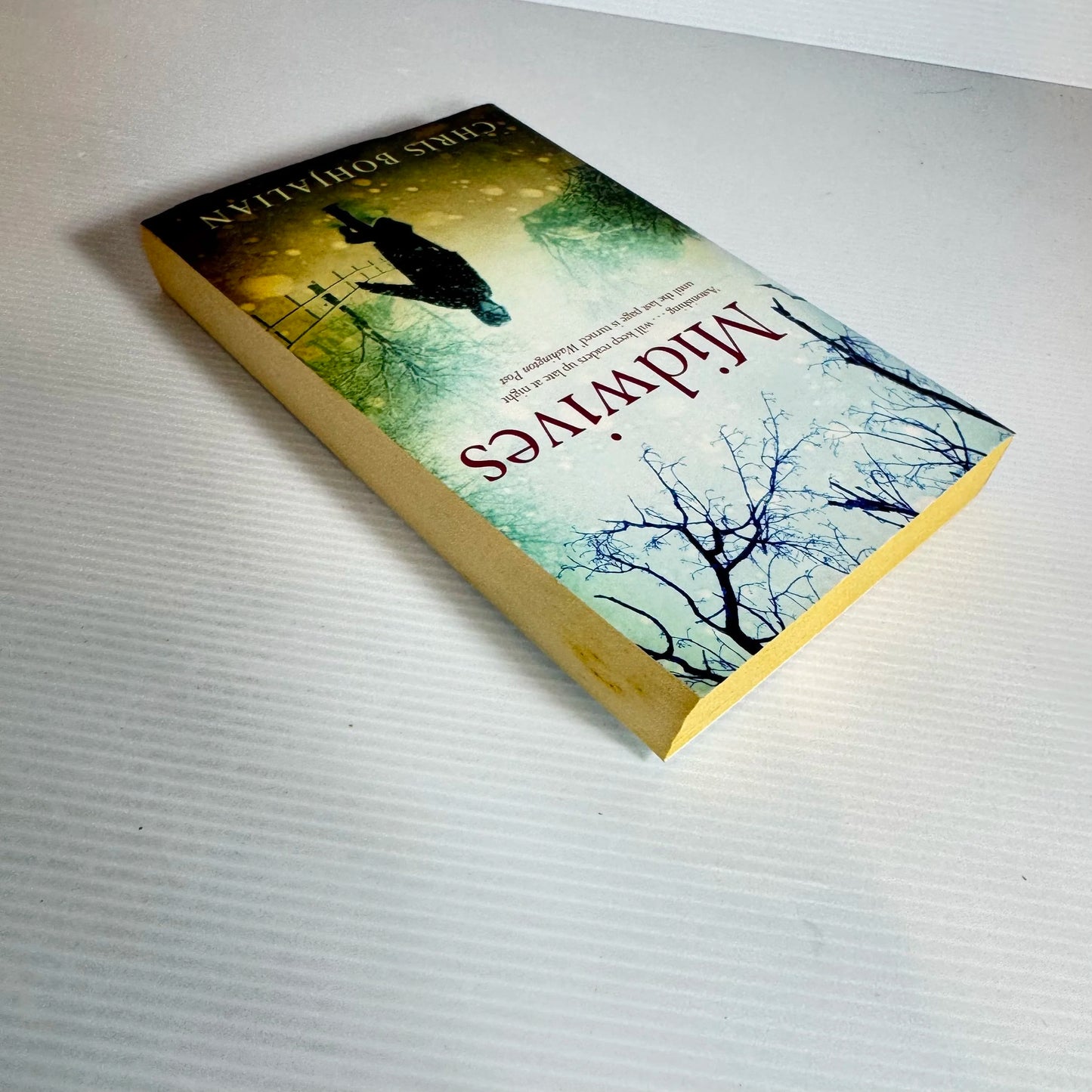 Midwives - Chris Bohjalian