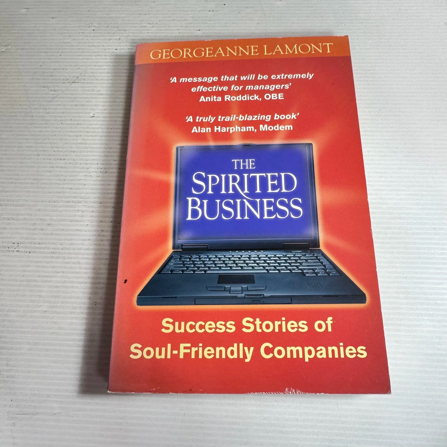 The Spirited Business : Success Stories Of Soul-Friendly Companies - Georgeanne Lamont