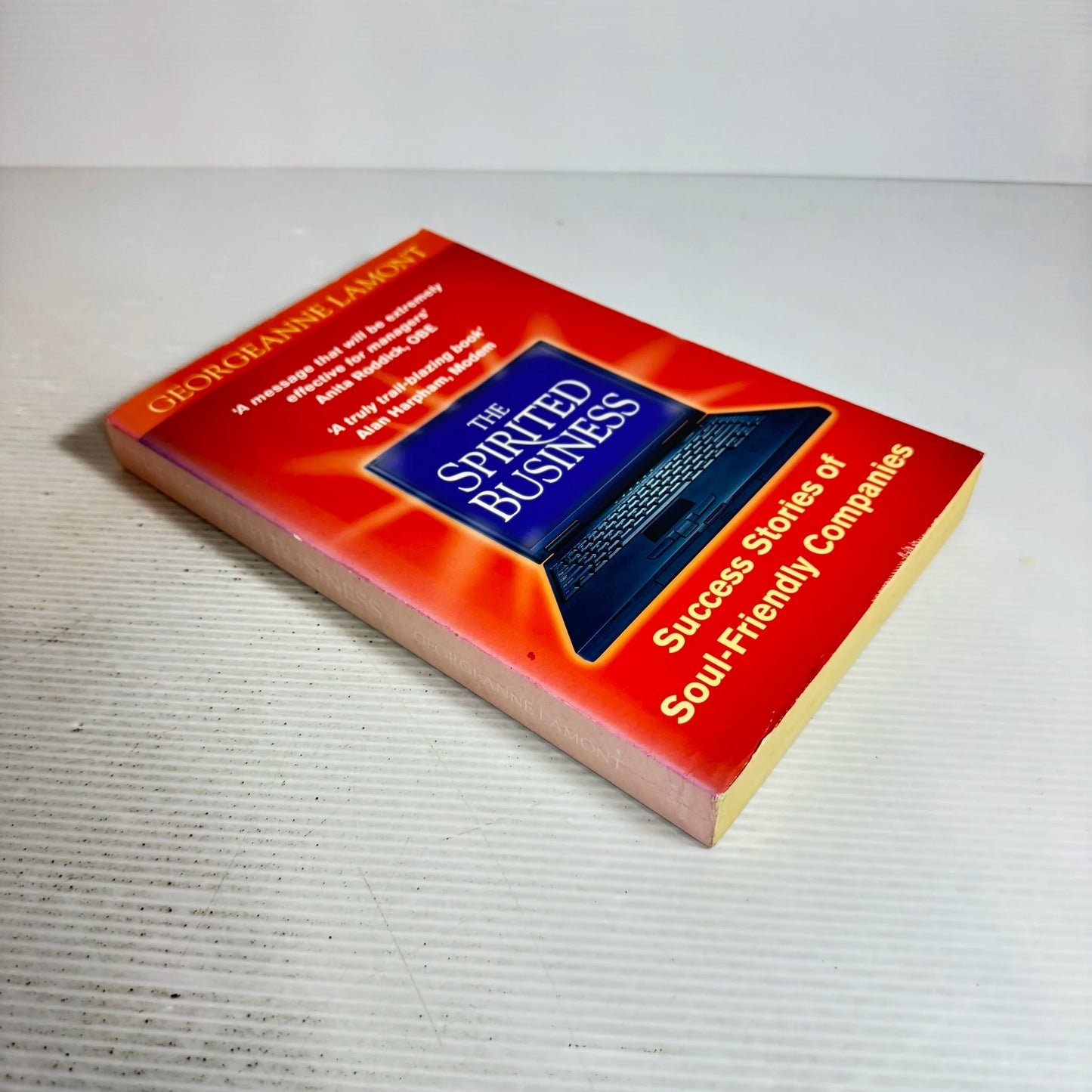 The Spirited Business : Success Stories Of Soul-Friendly Companies - Georgeanne Lamont