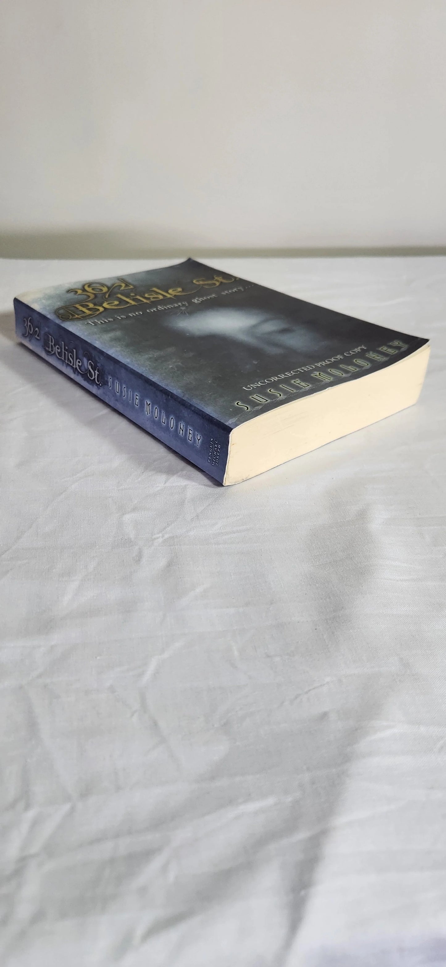 362 Belisle St - Susie Molohey