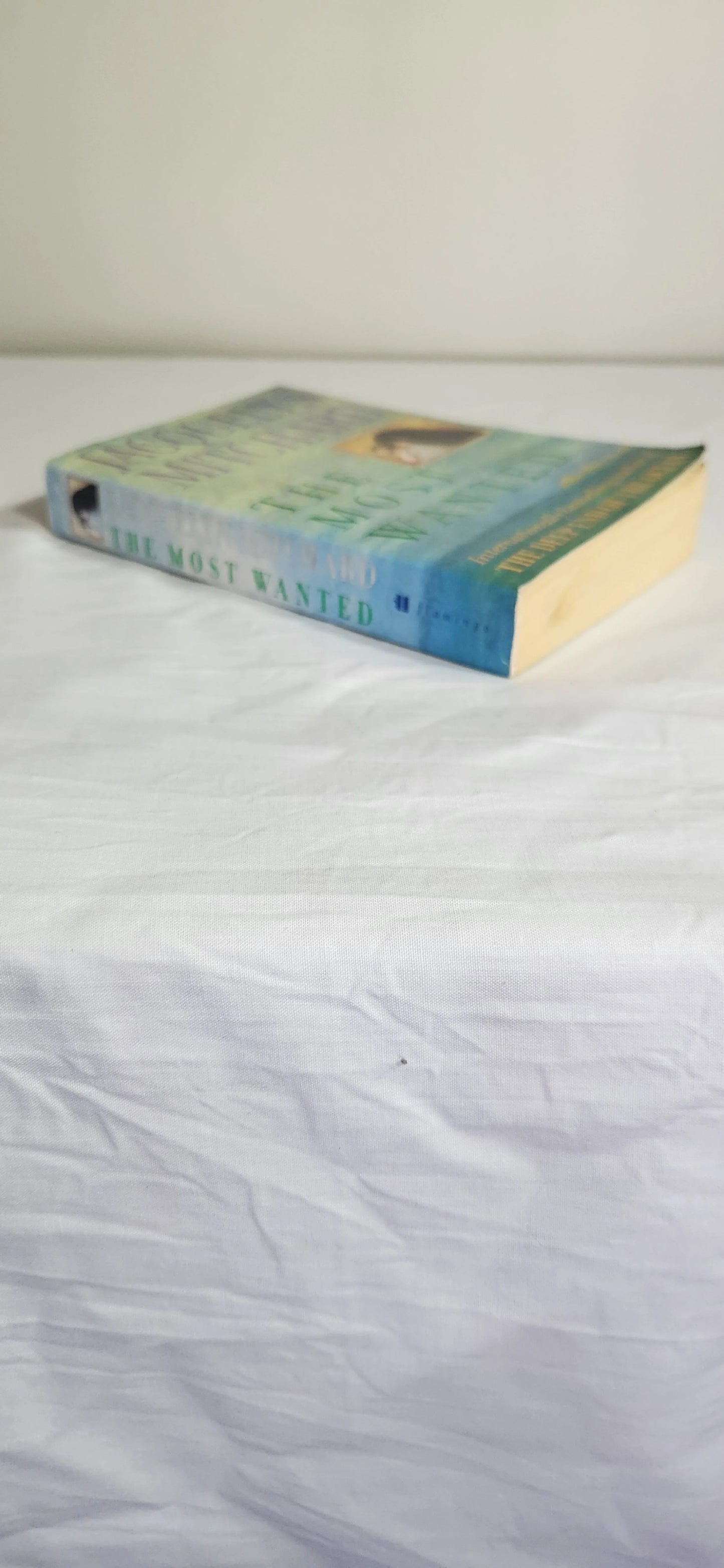 The Most Wanted - Jacquelyn Mitchard