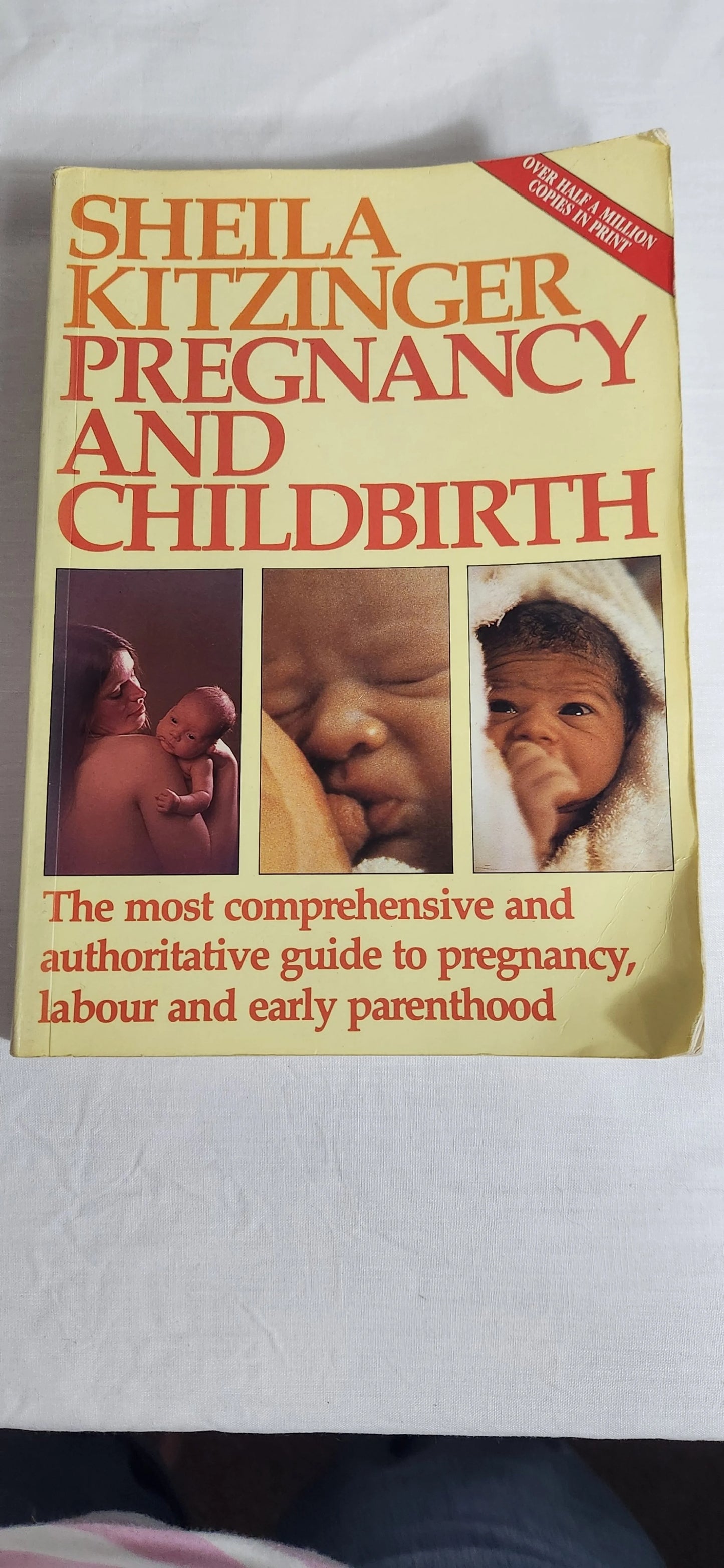 Shelia Kitzinger Pregnancy & Childbirth