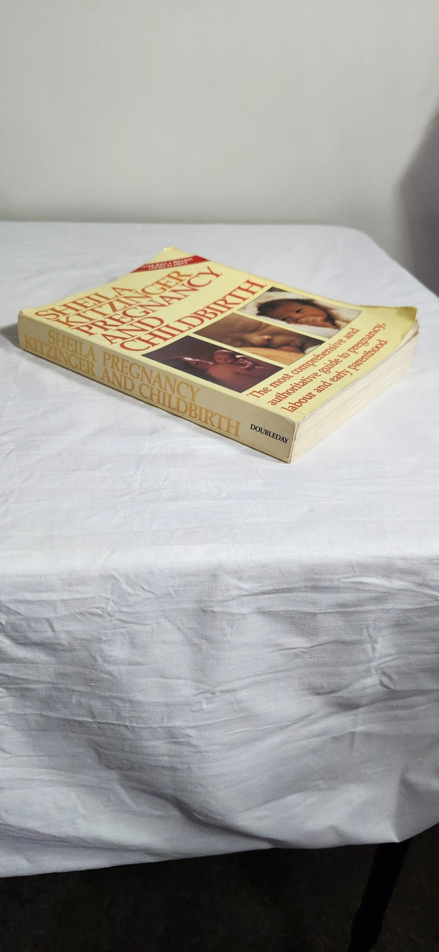 Shelia Kitzinger Pregnancy & Childbirth