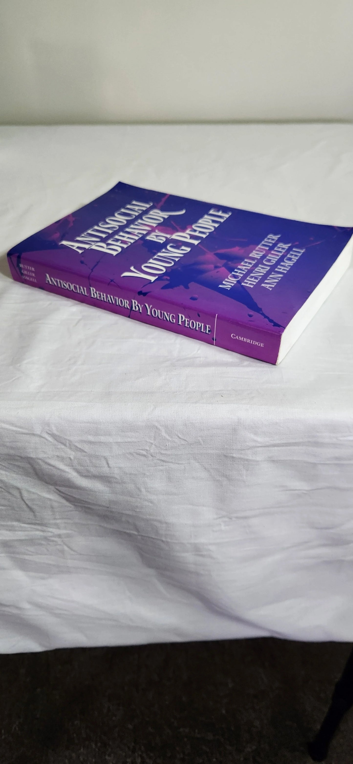 Antisocial Behavior By Young People - Rutter, Giller & Hagell